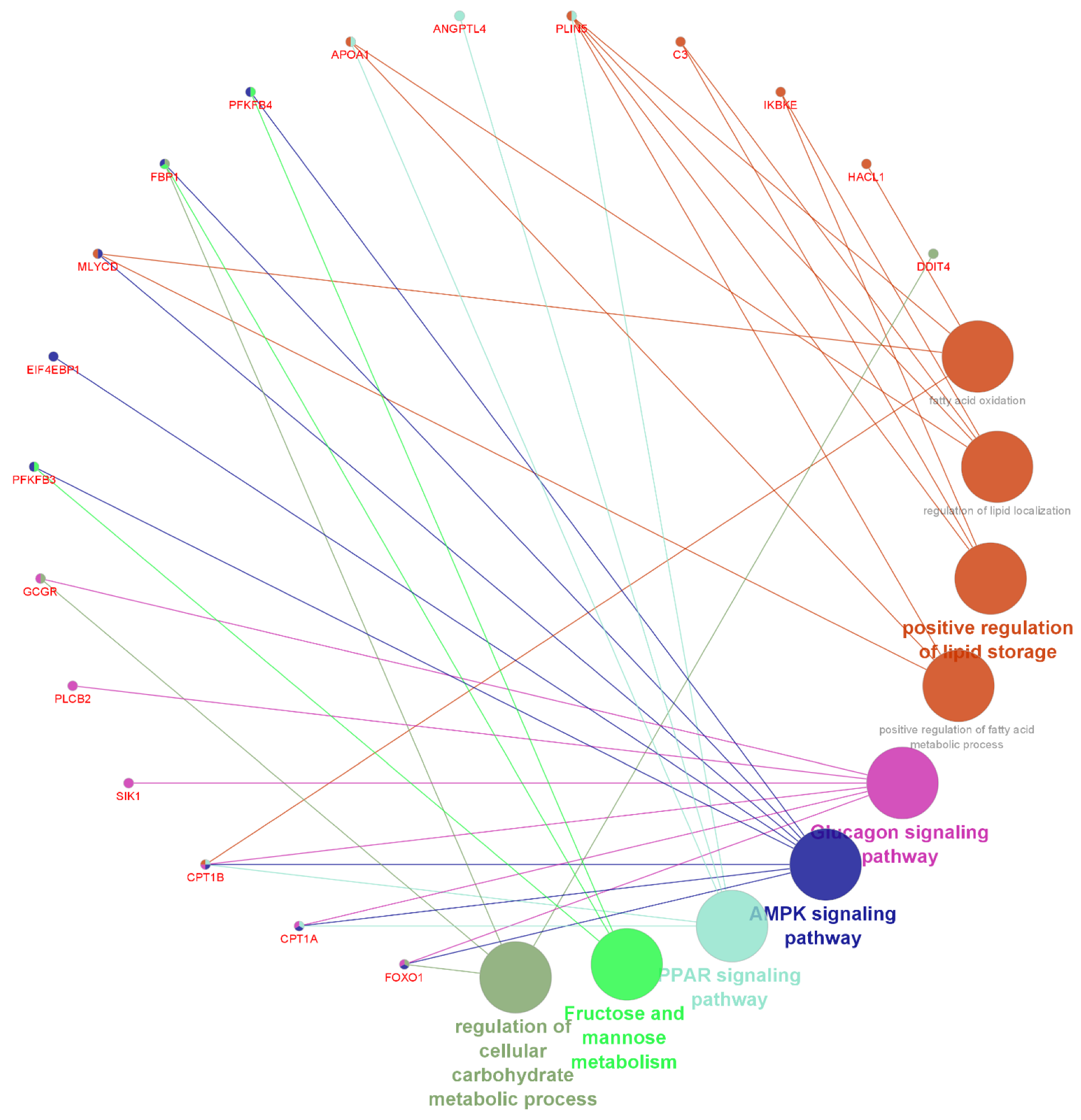 Metabolites 13 00160 g006