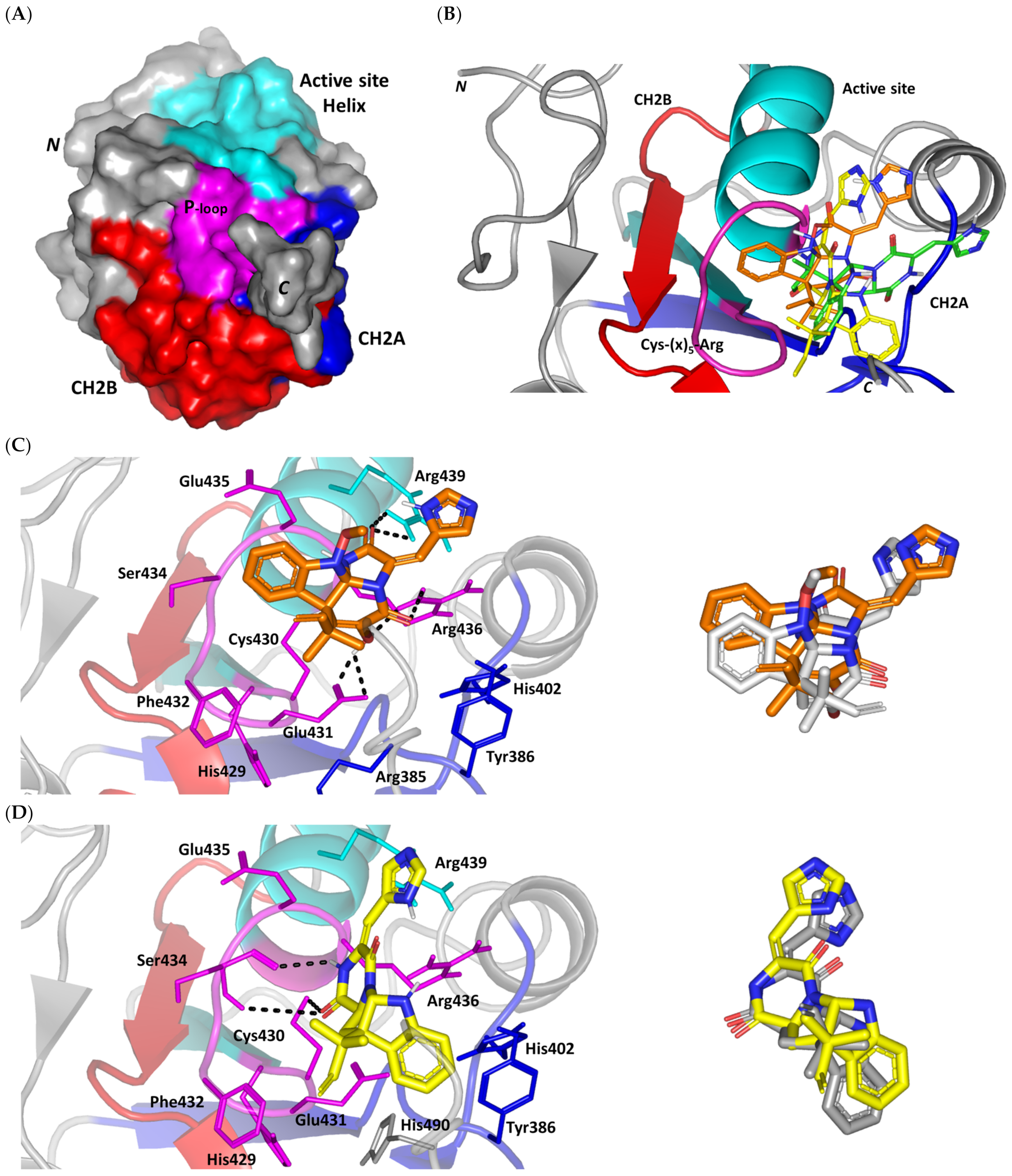 Metabolites 13 00162 g002a