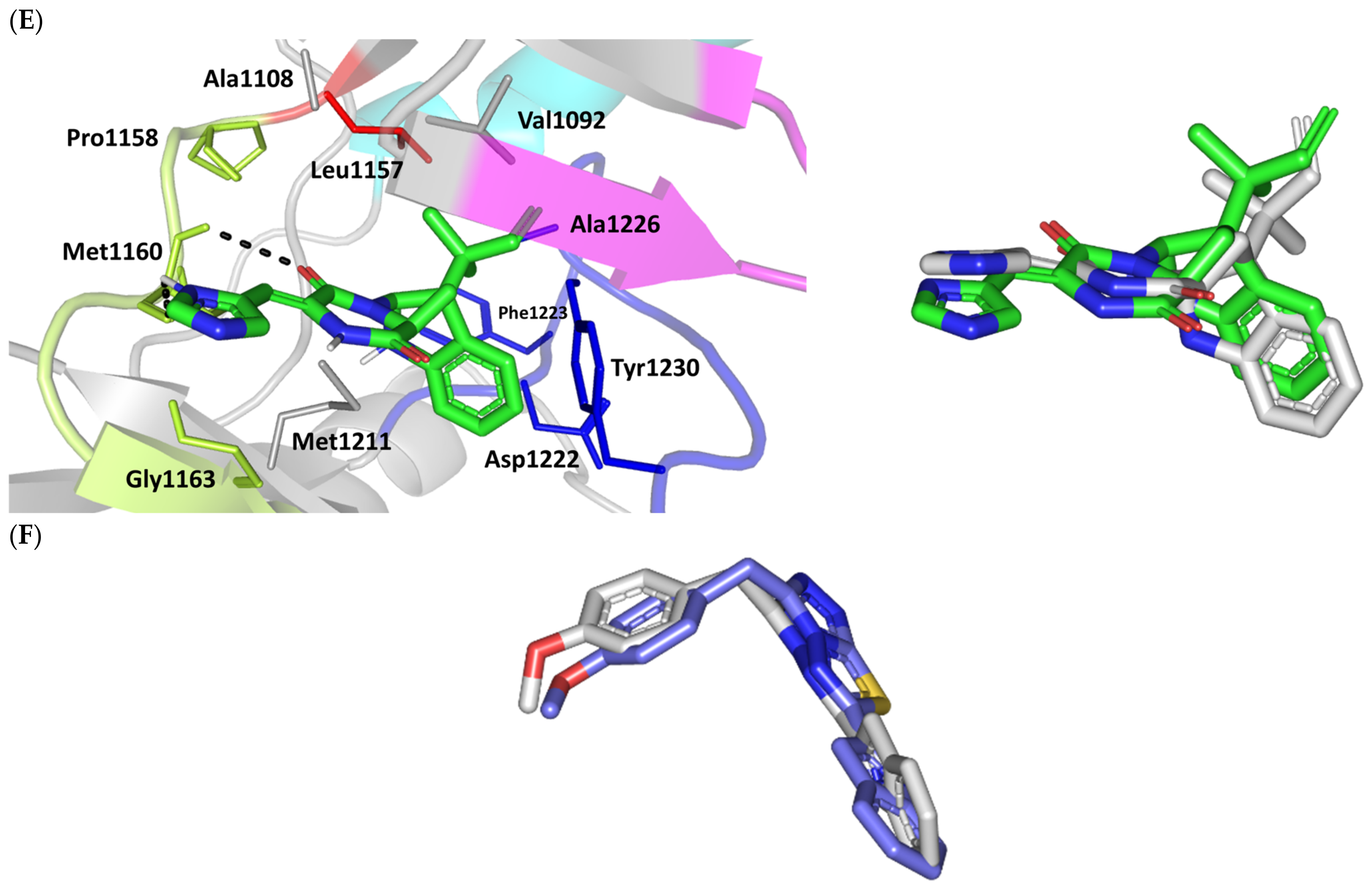 Metabolites 13 00162 g004b