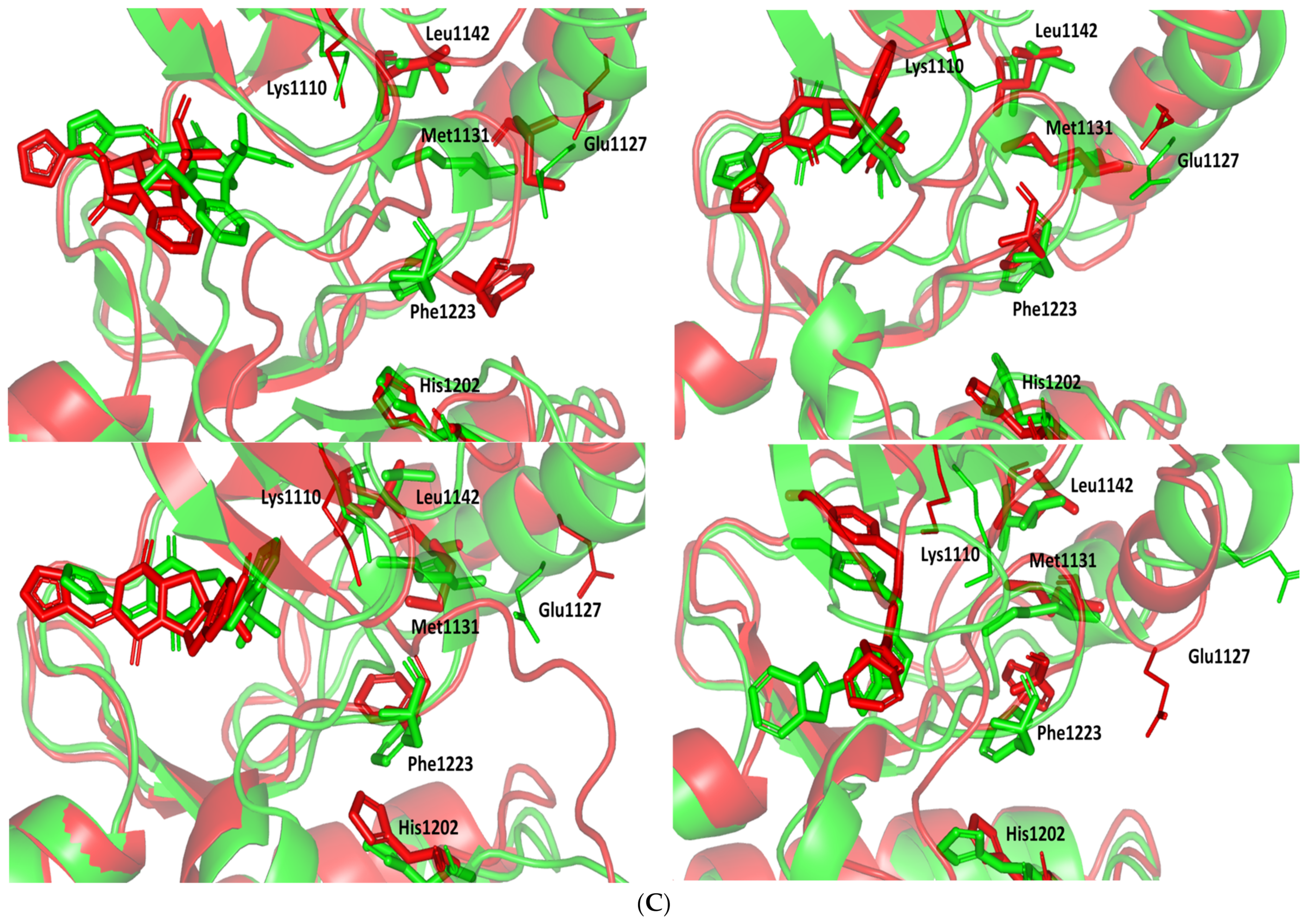 Metabolites 13 00162 g011b