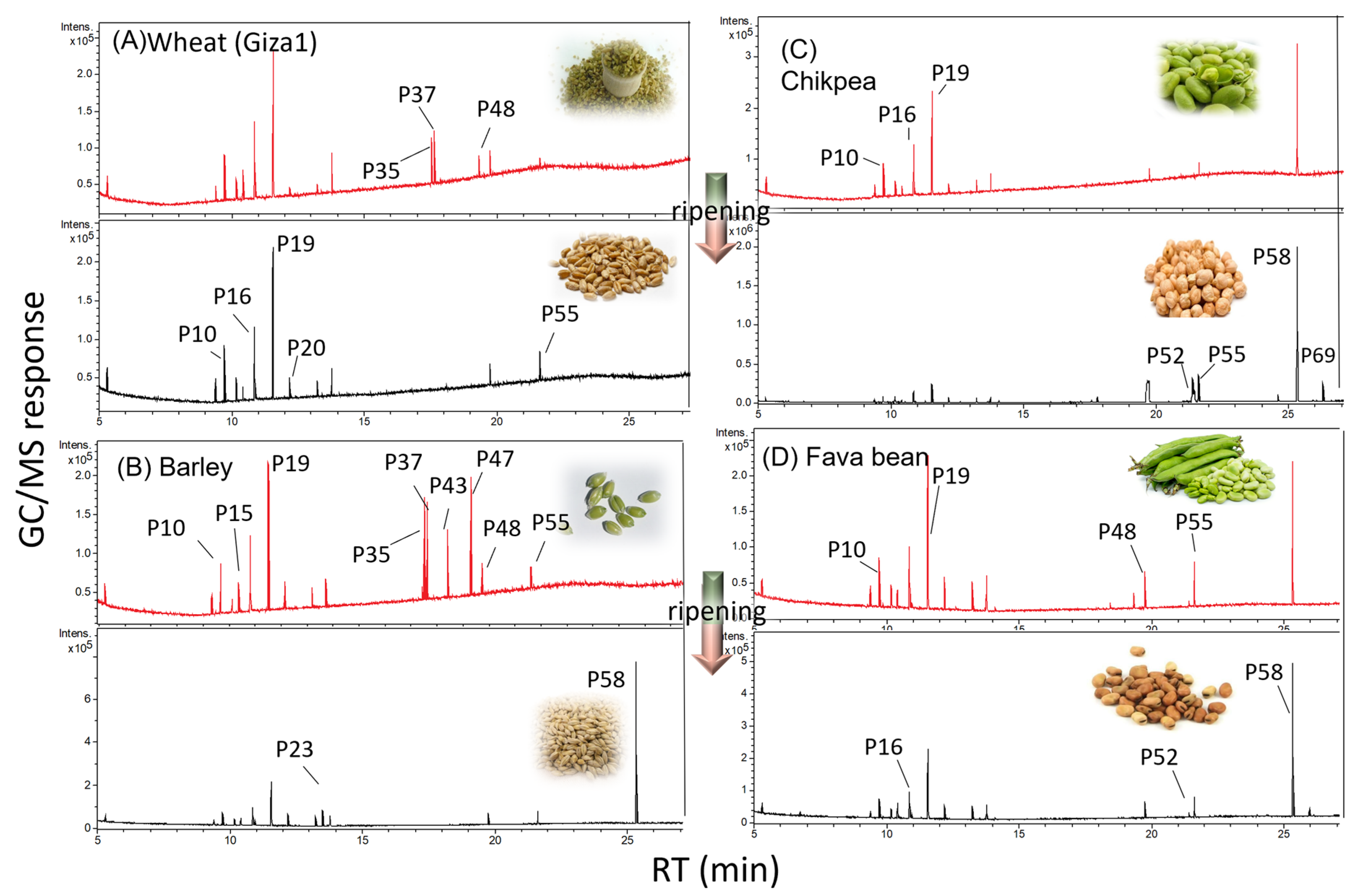 Metabolites 13 00163 g001