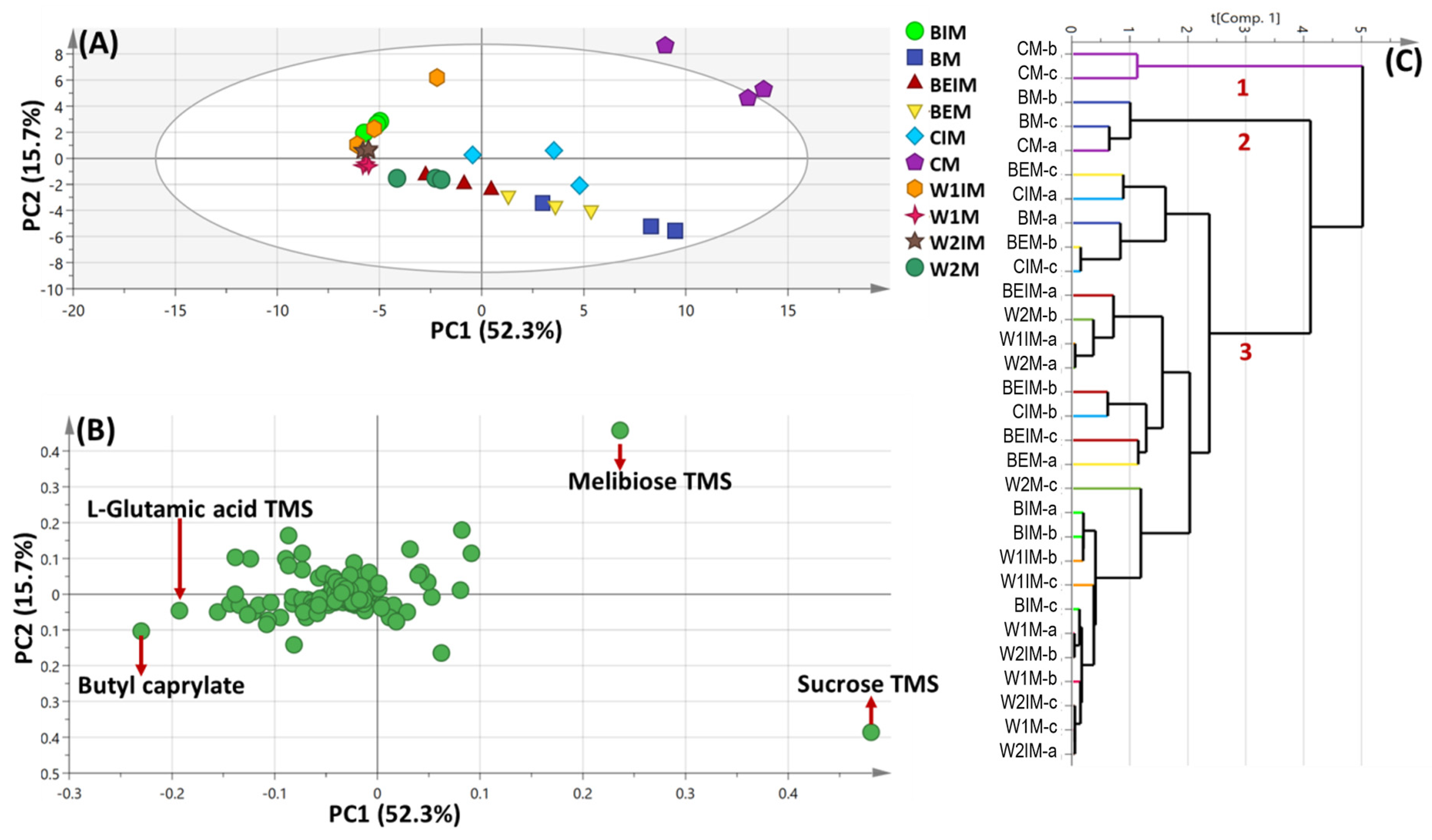 Metabolites 13 00163 g002