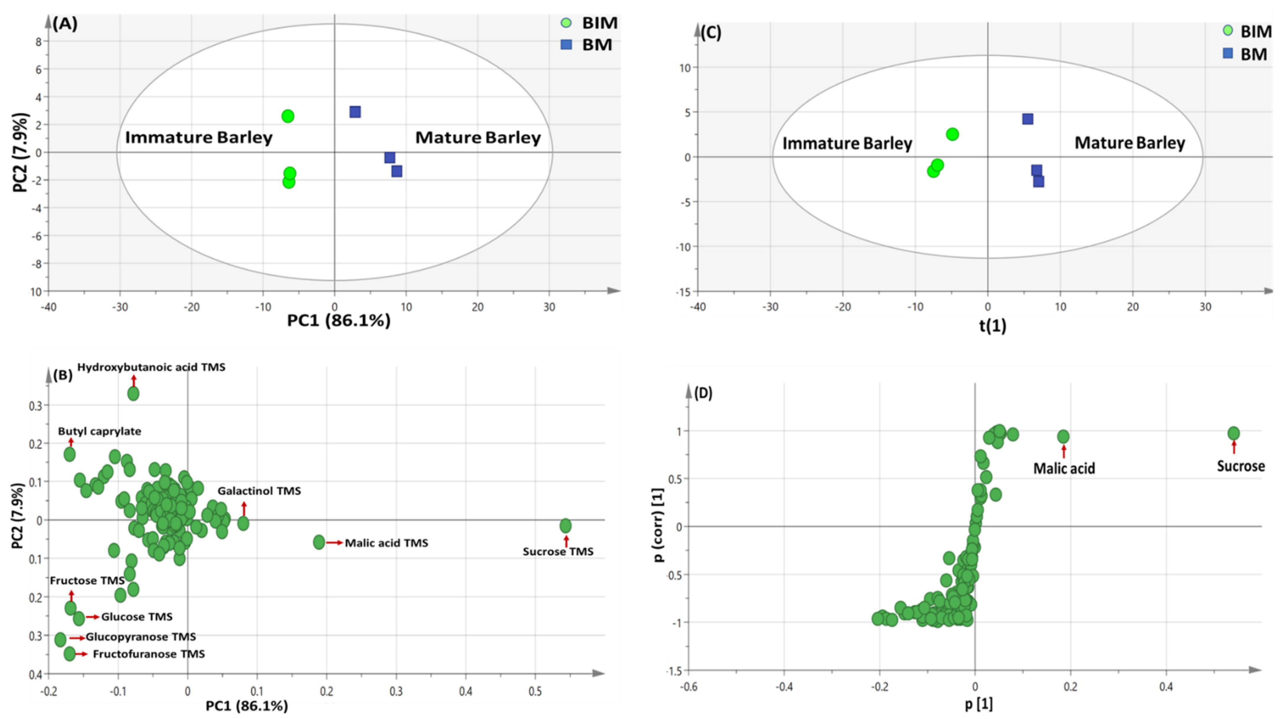 Metabolites 13 00163 g003