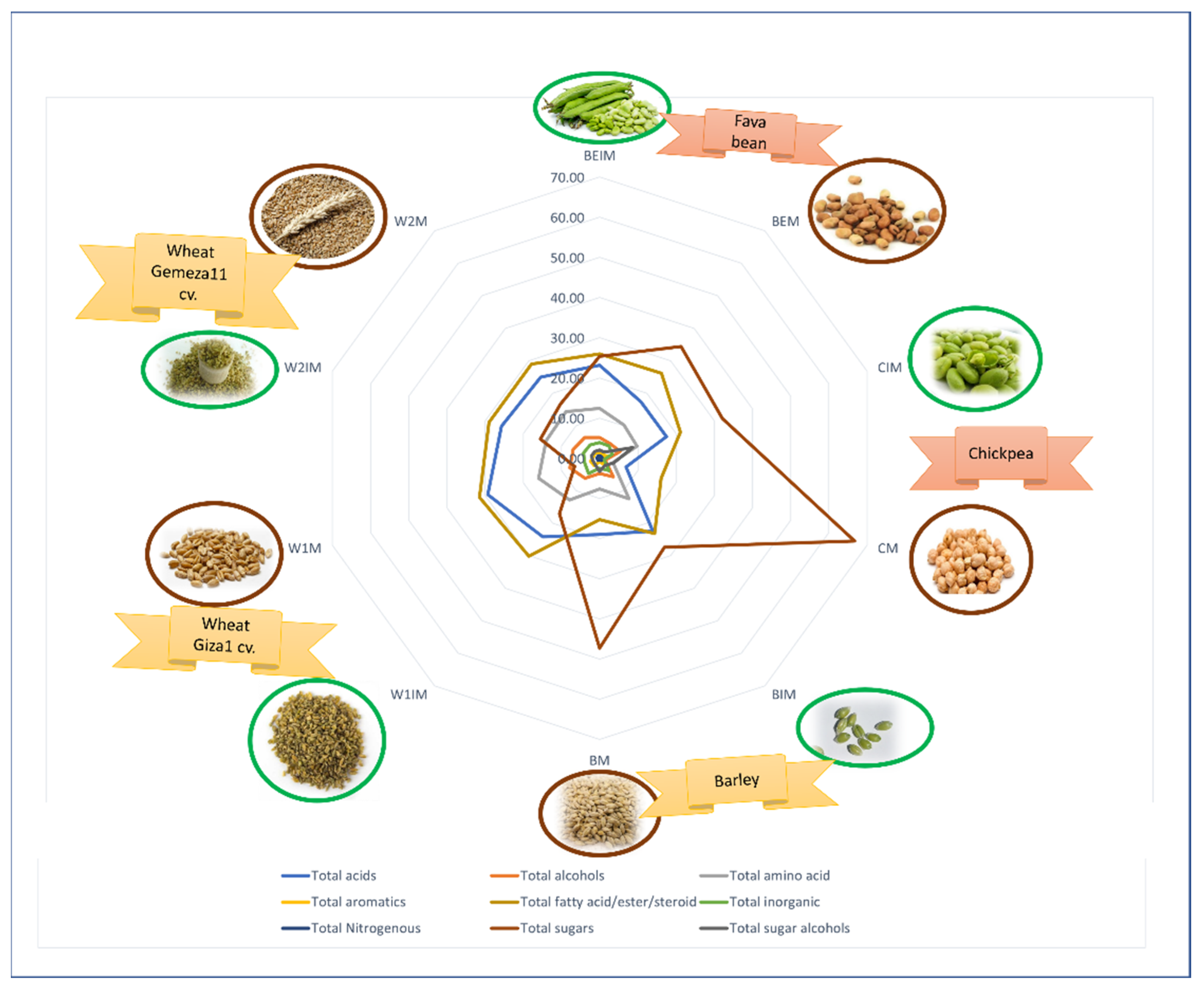 Metabolites 13 00163 g006
