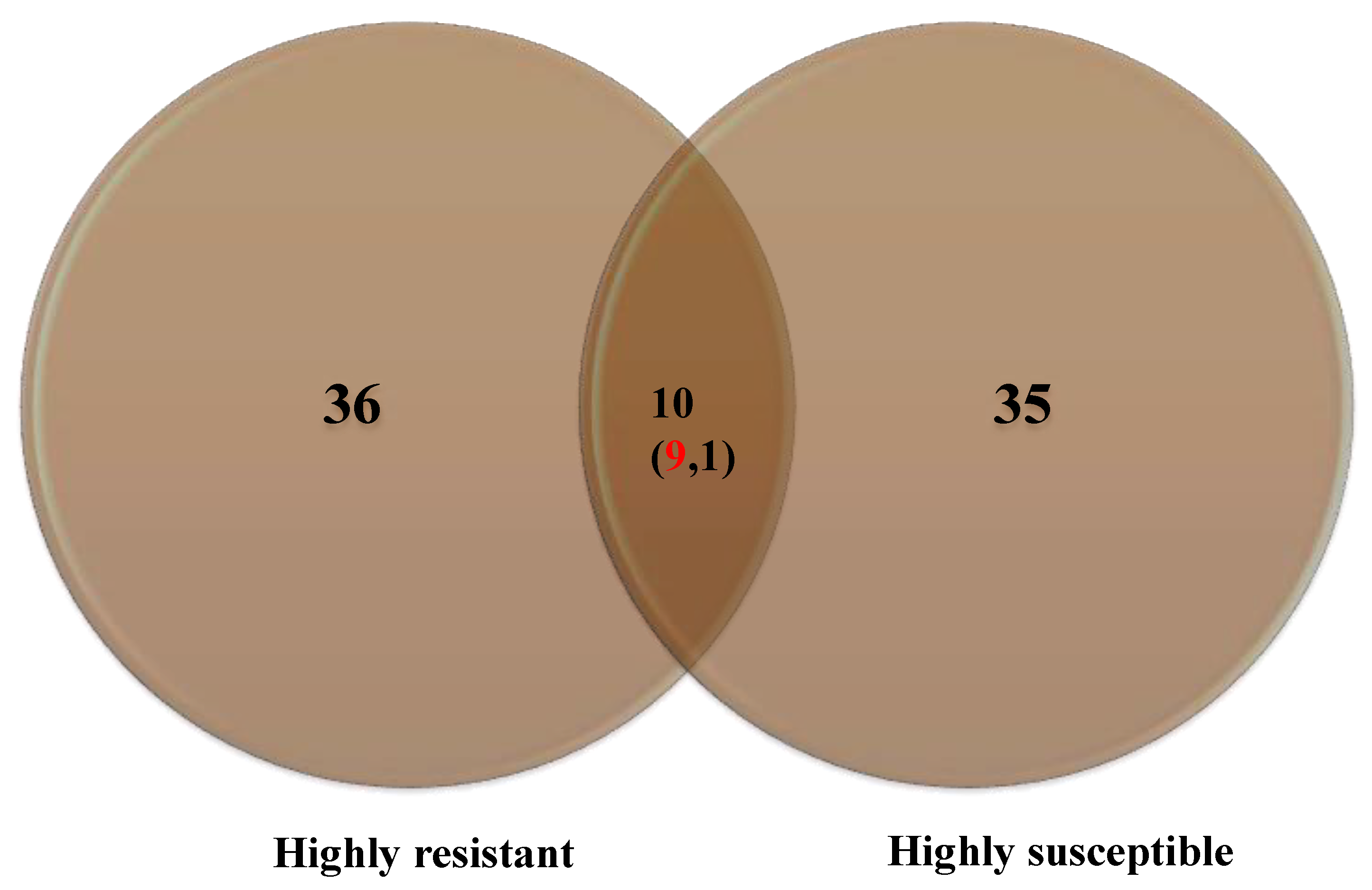 Metabolites 13 00165 g004