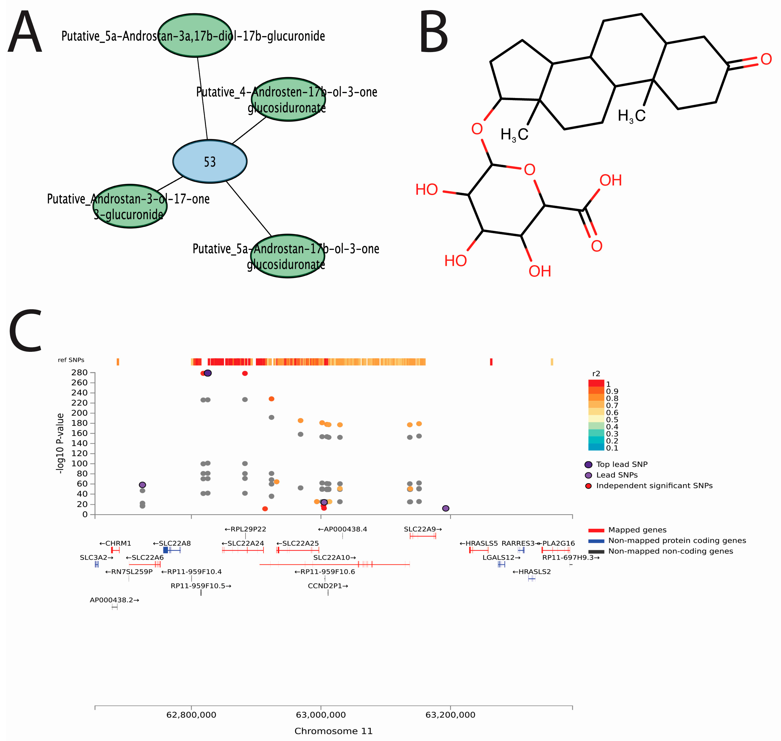 Metabolites 13 00171 g008