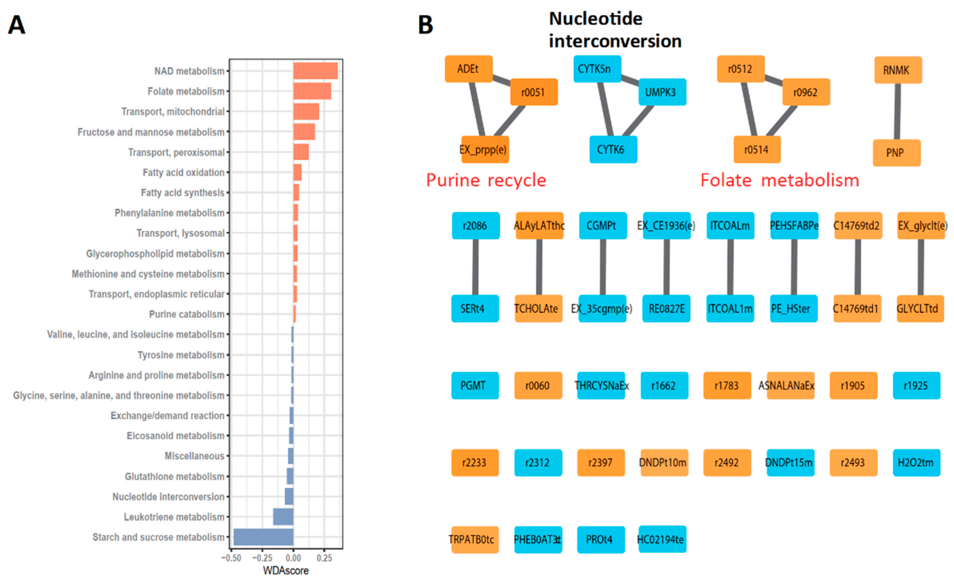Metabolites 13 00172 g001