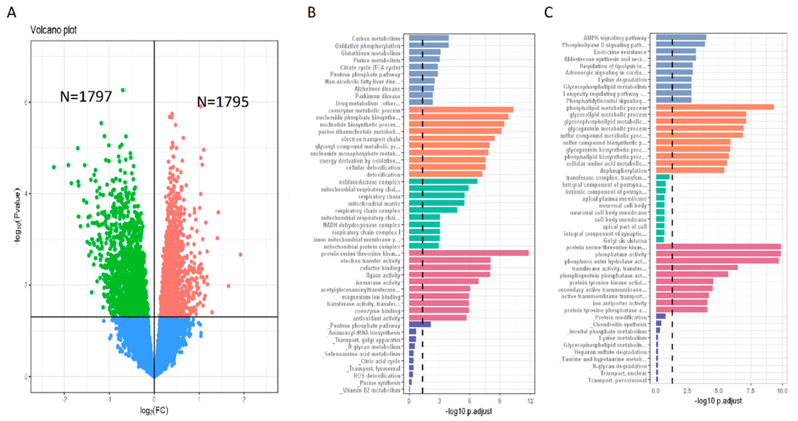 Metabolites 13 00172 g004