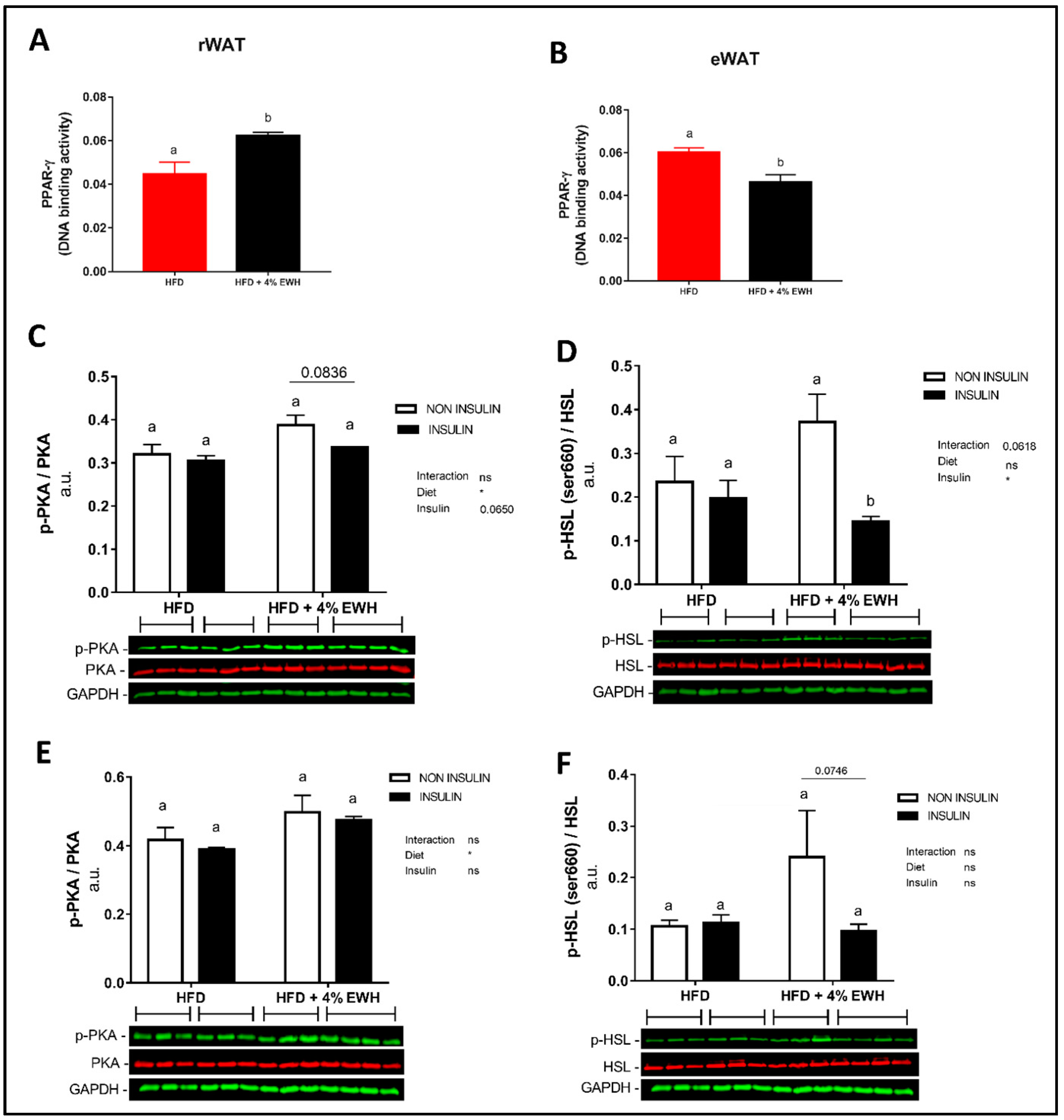 Metabolites 13 00174 g001 Metabolites 13 00174 g001