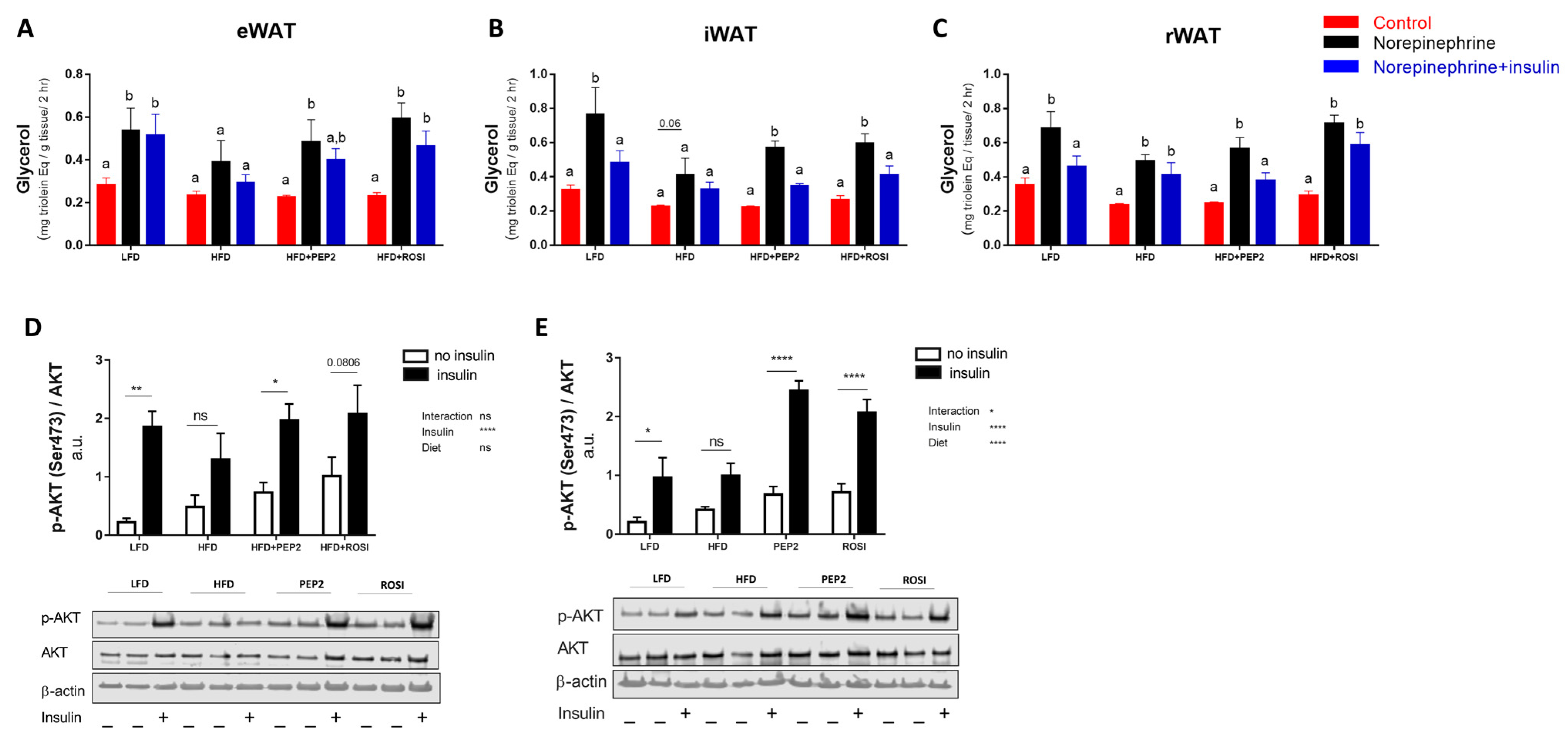 Metabolites 13 00174 g003 Metabolites 13 00174 g003