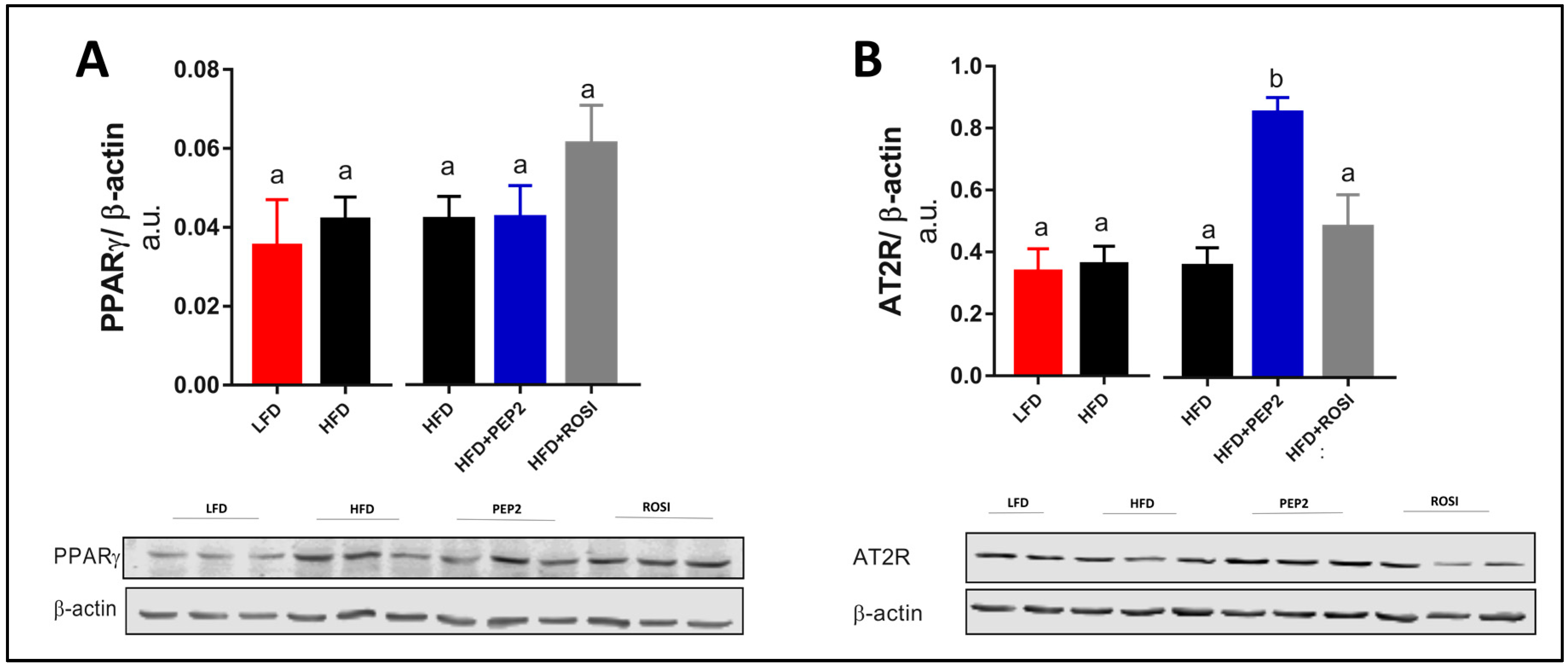 Metabolites 13 00174 g006 Metabolites 13 00174 g006