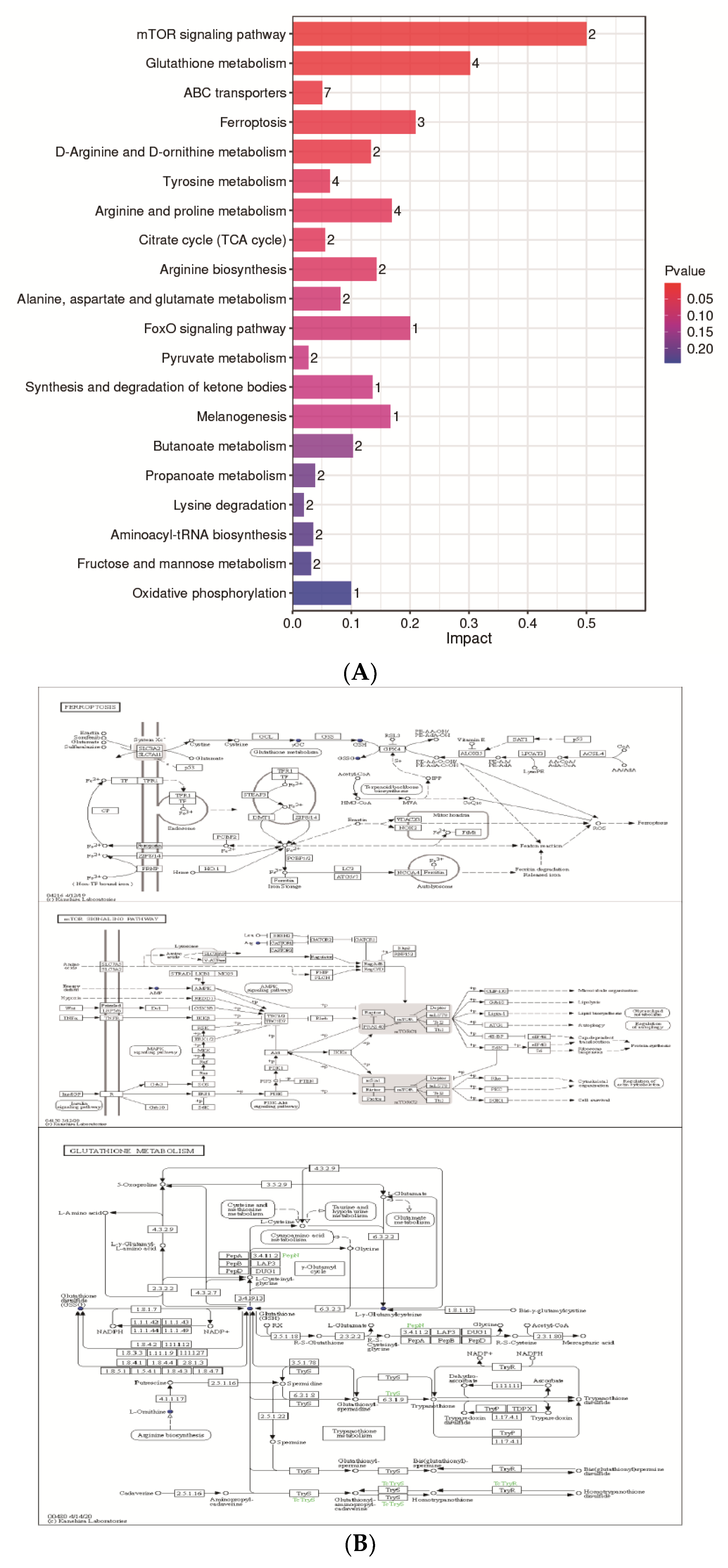 Metabolites 13 00176 g006