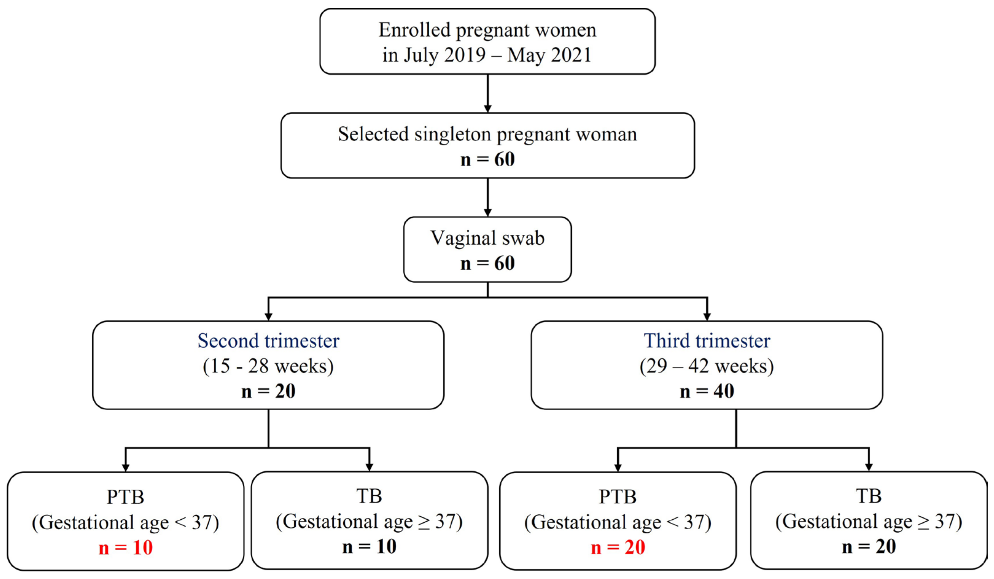 Metabolites 13 00177 g001