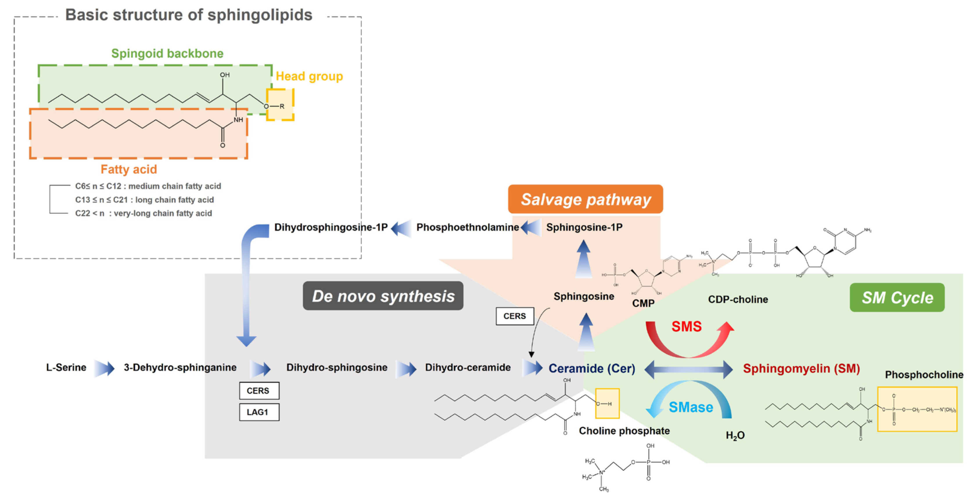 Metabolites 13 00177 g008