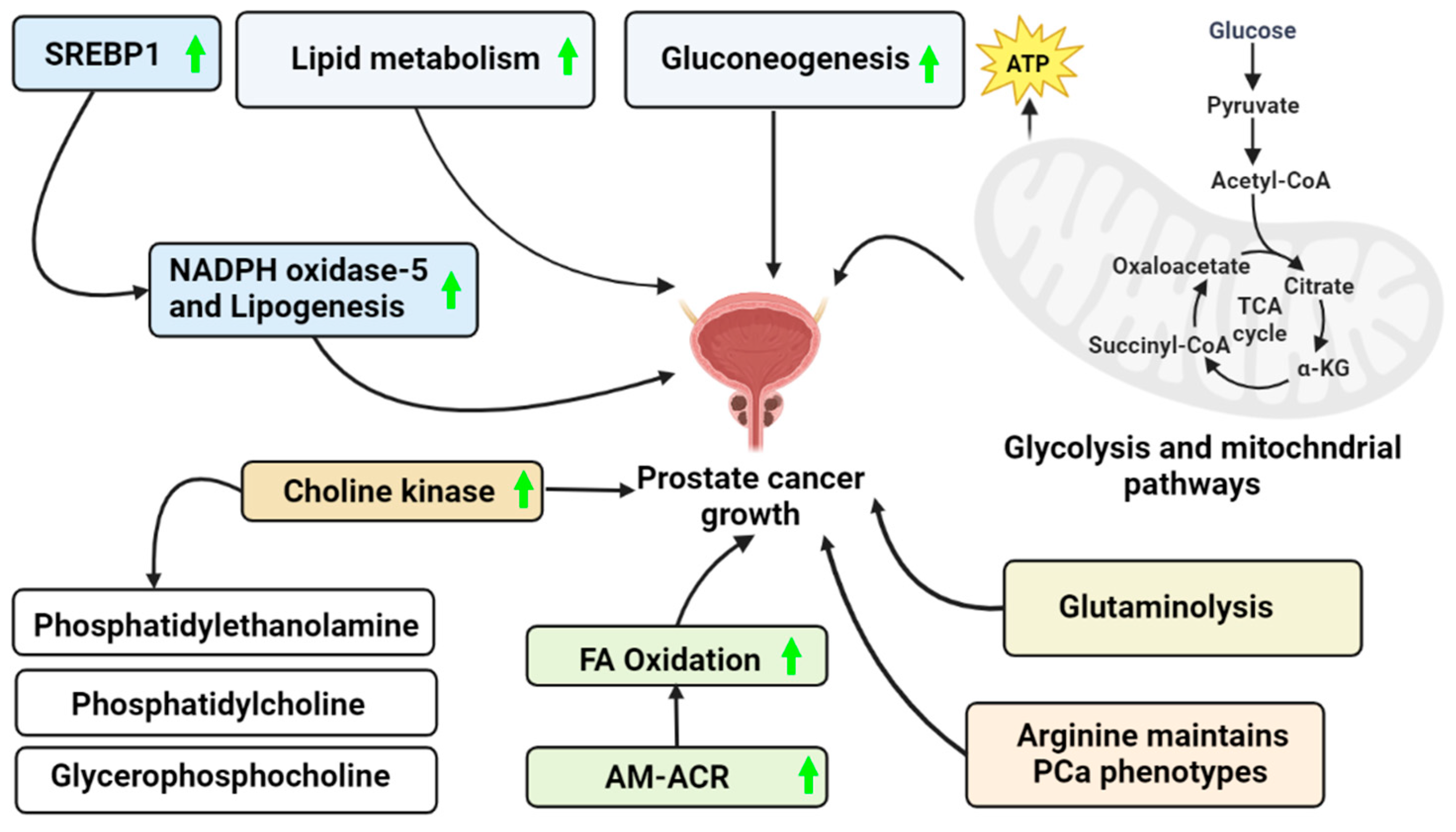 Metabolites 13 00183 g001