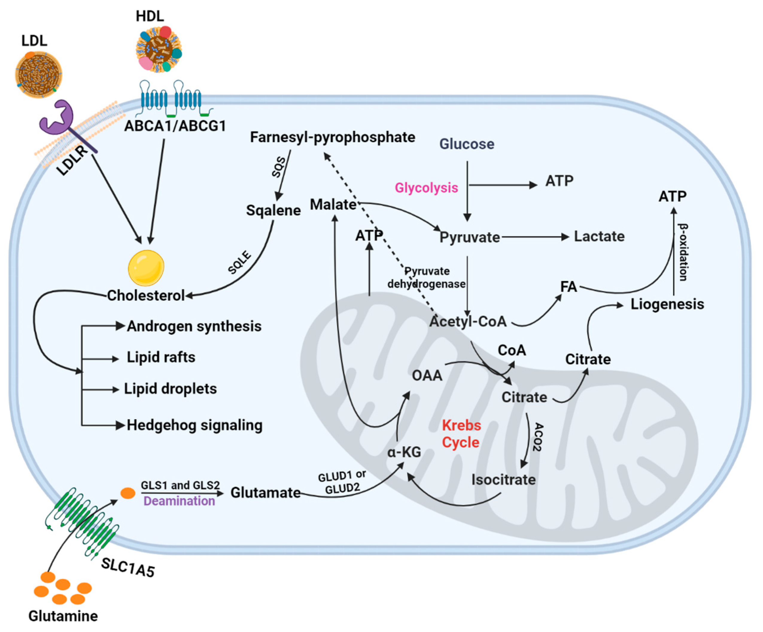 Metabolites 13 00183 g002