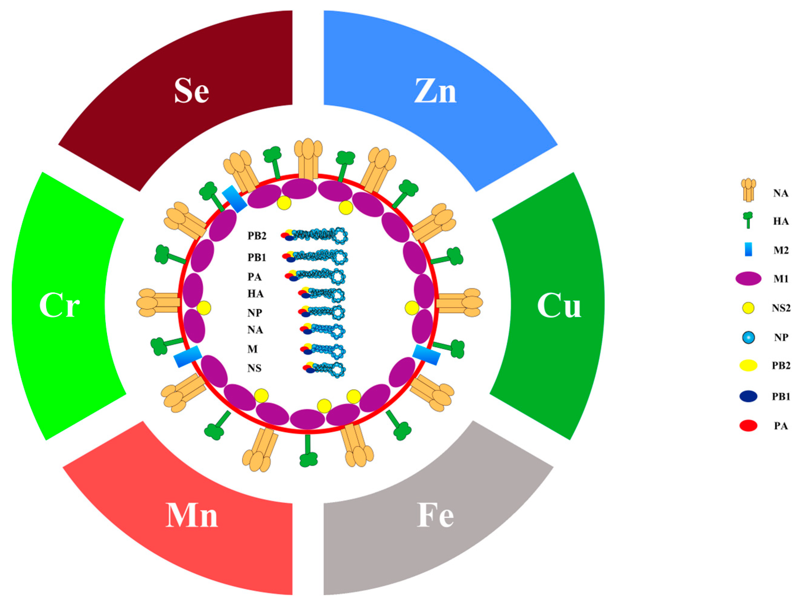 Metabolites 13 00184 g001