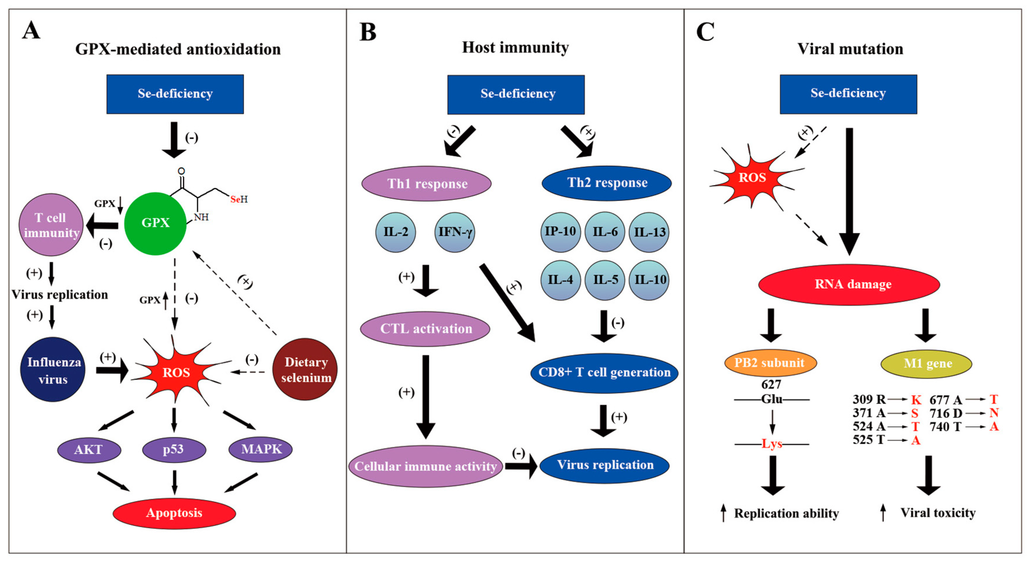Metabolites 13 00184 g002