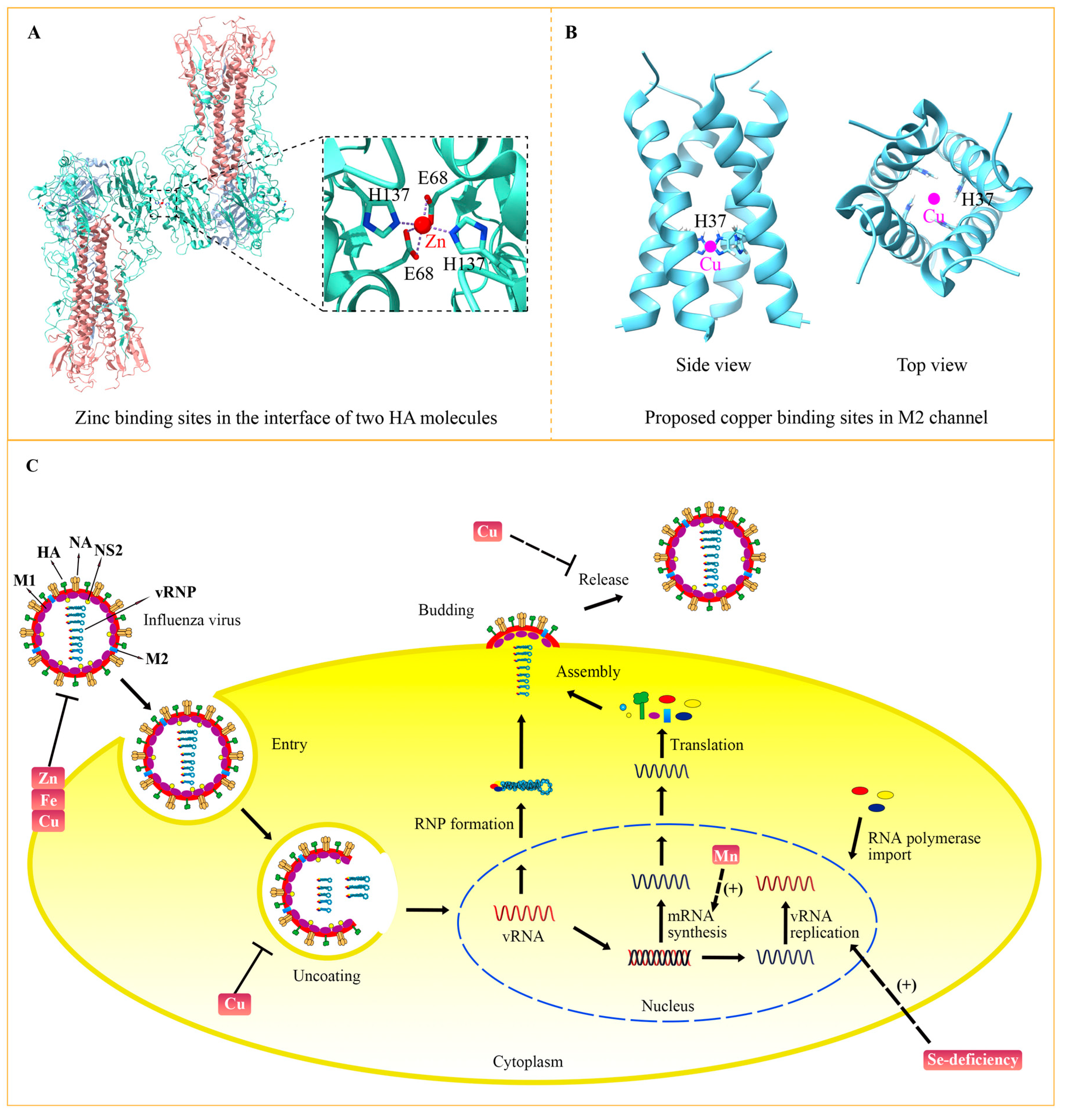 Metabolites 13 00184 g003