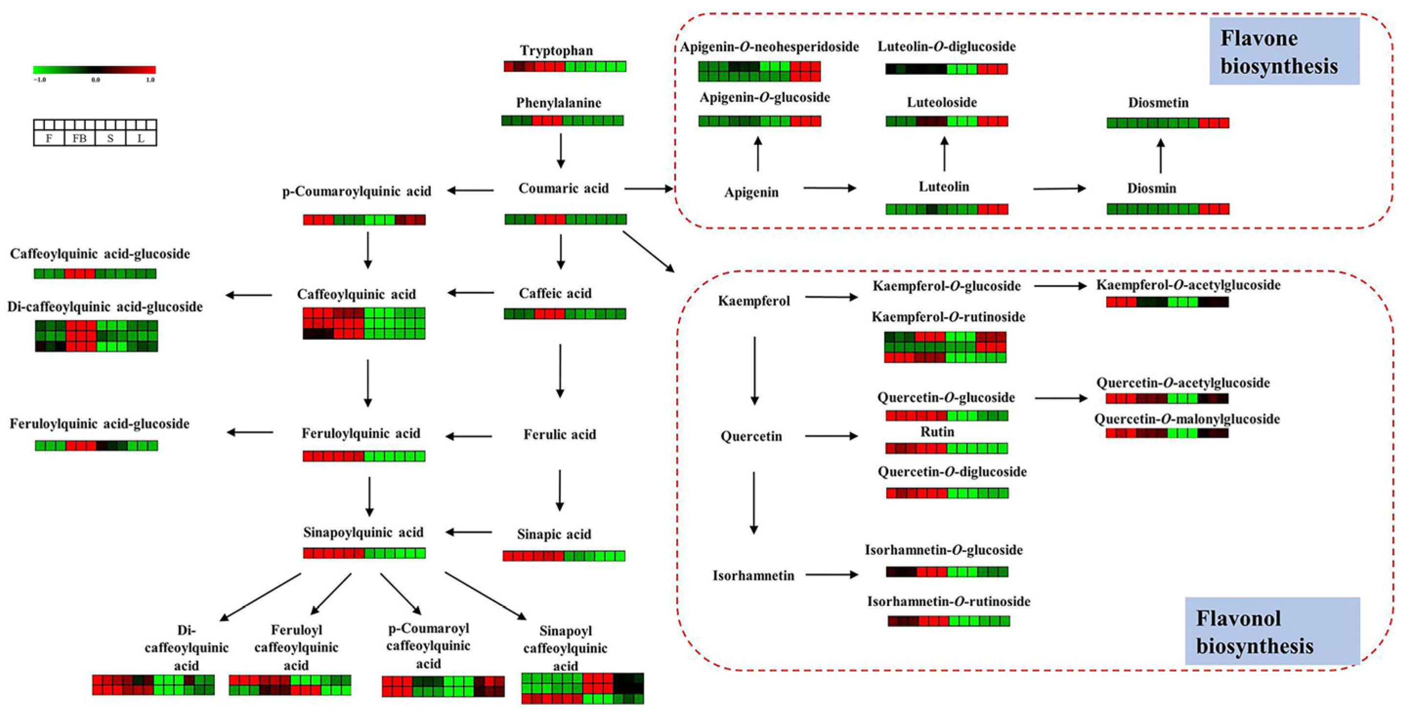 Metabolites 13 00186 g005