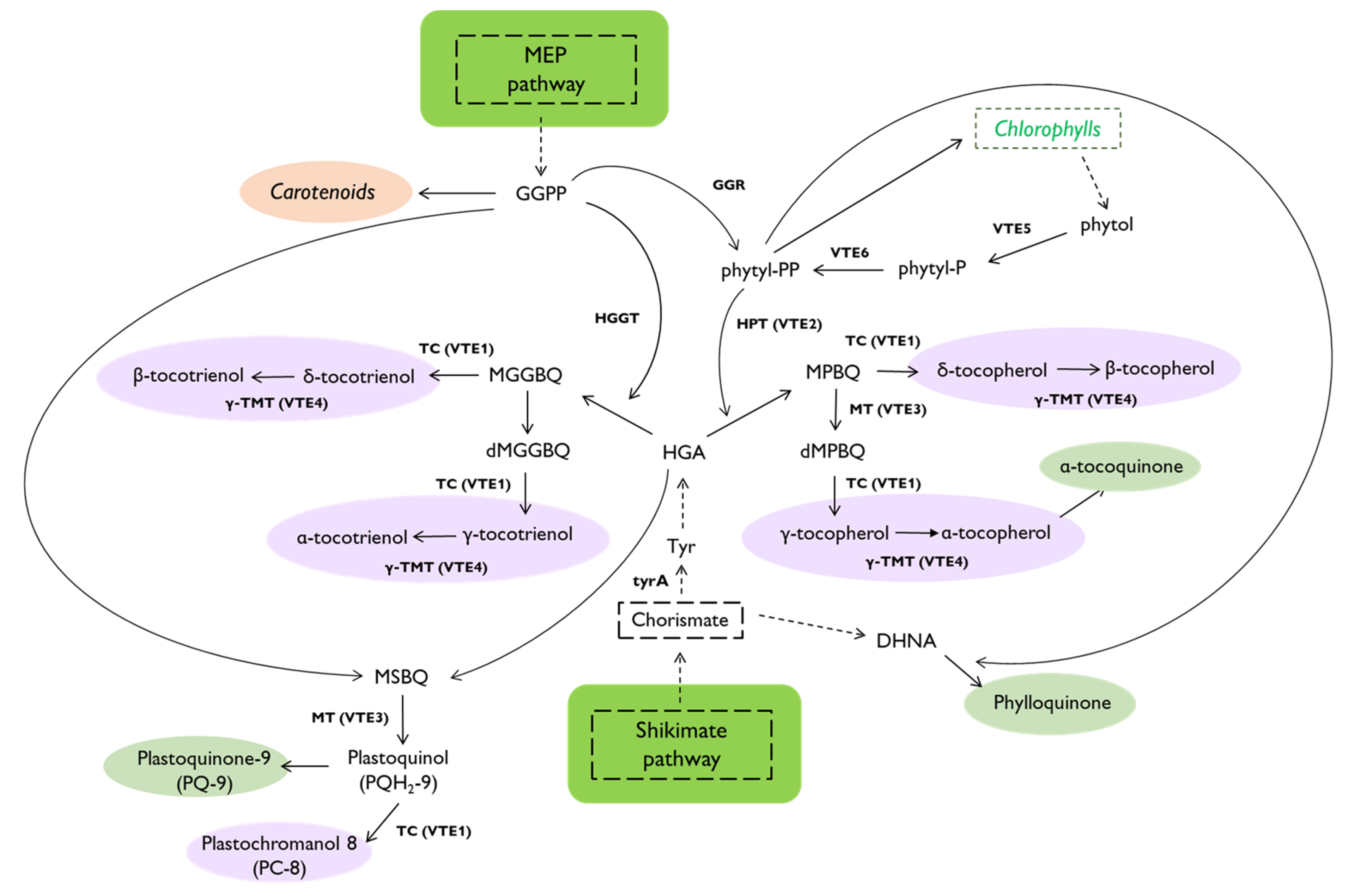 Metabolites 13 00193 g001