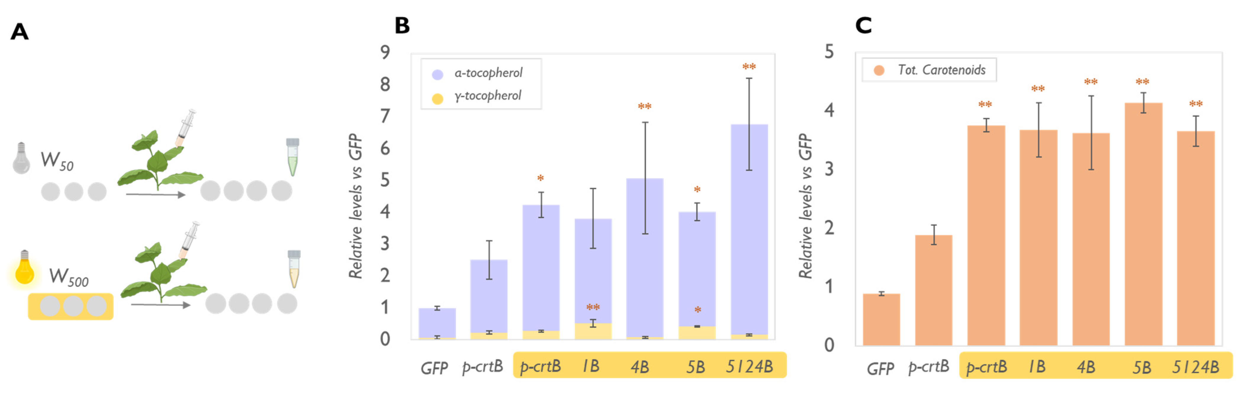 Metabolites 13 00193 g003