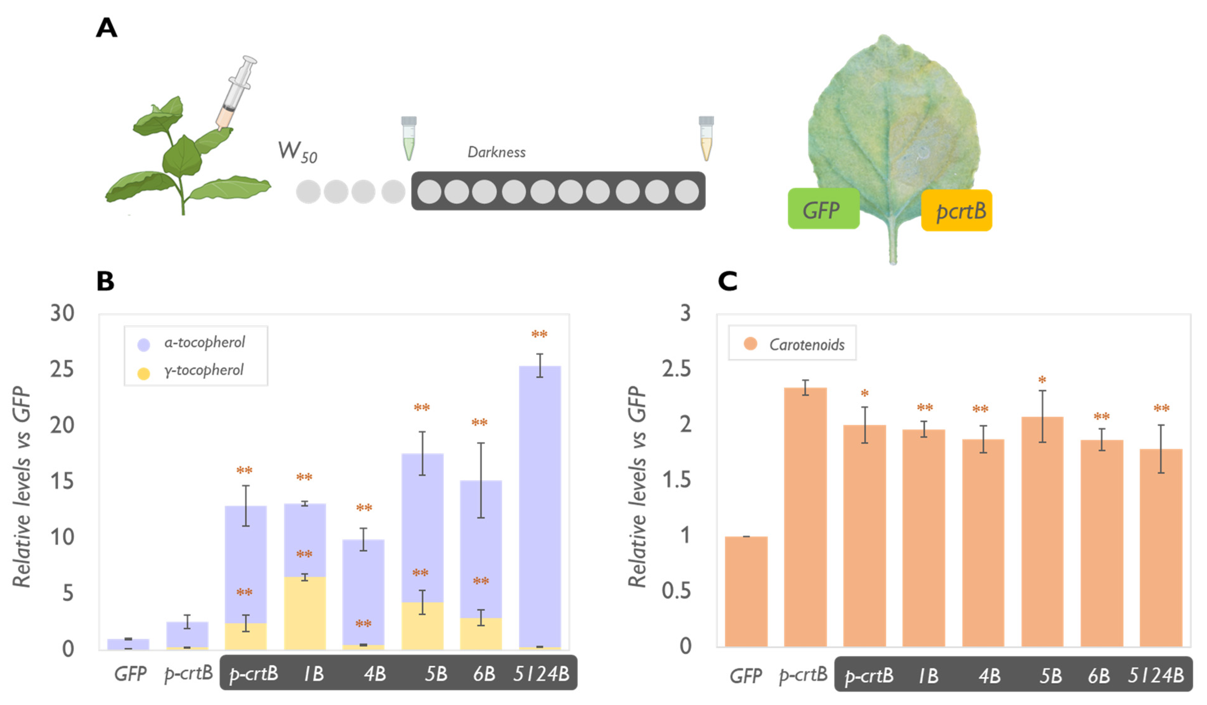 Metabolites 13 00193 g004