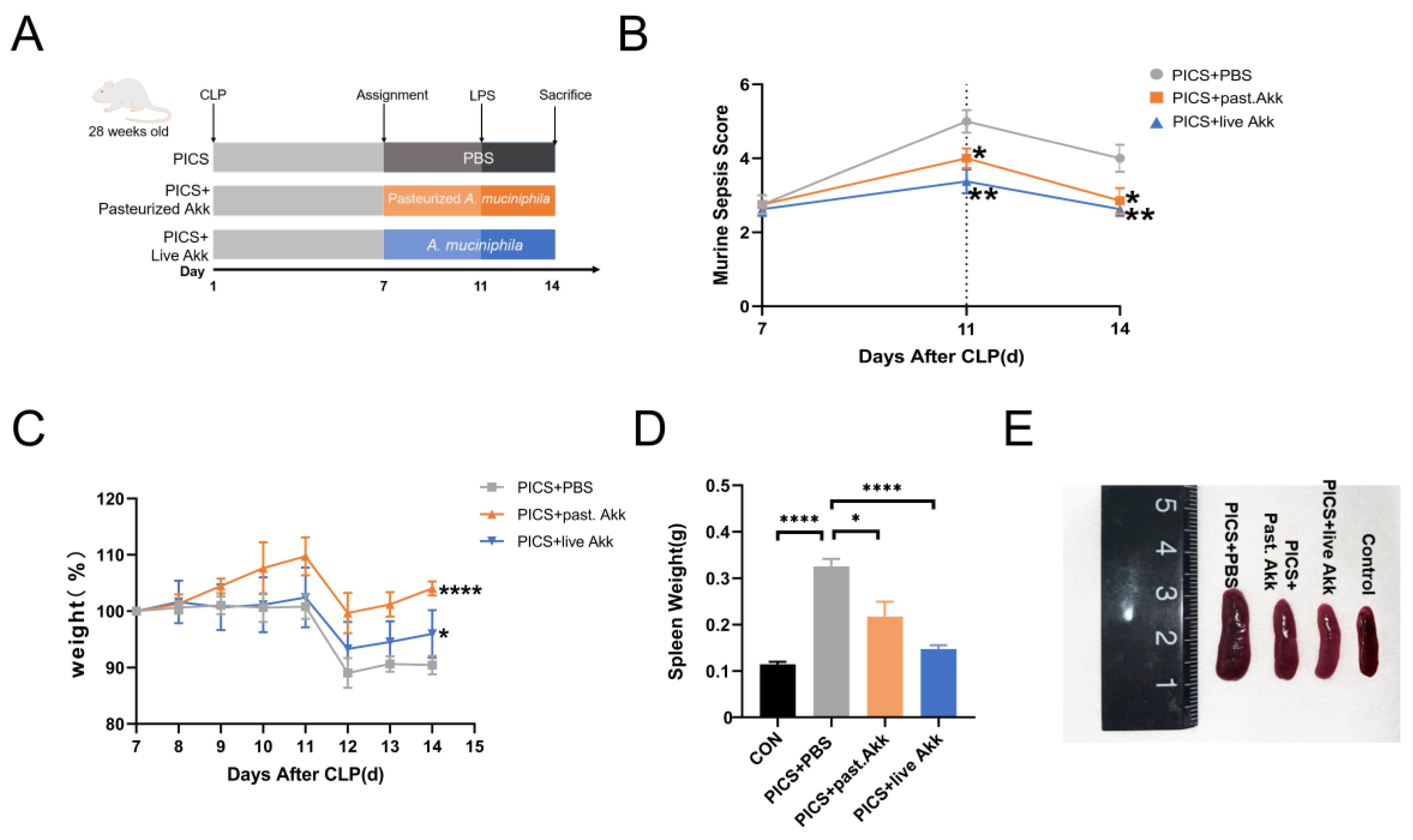 Metabolites 13 00194 g001