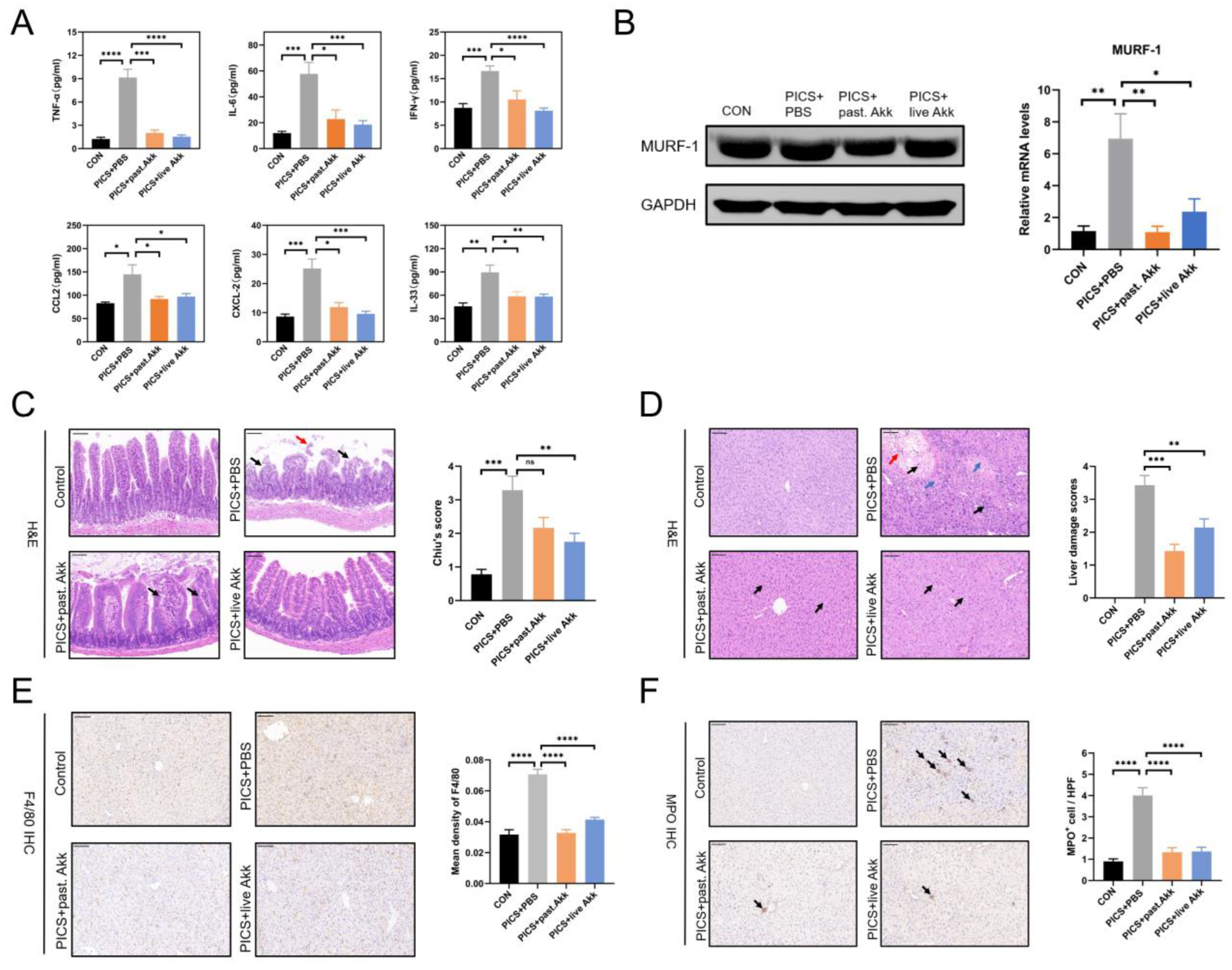 Metabolites 13 00194 g002