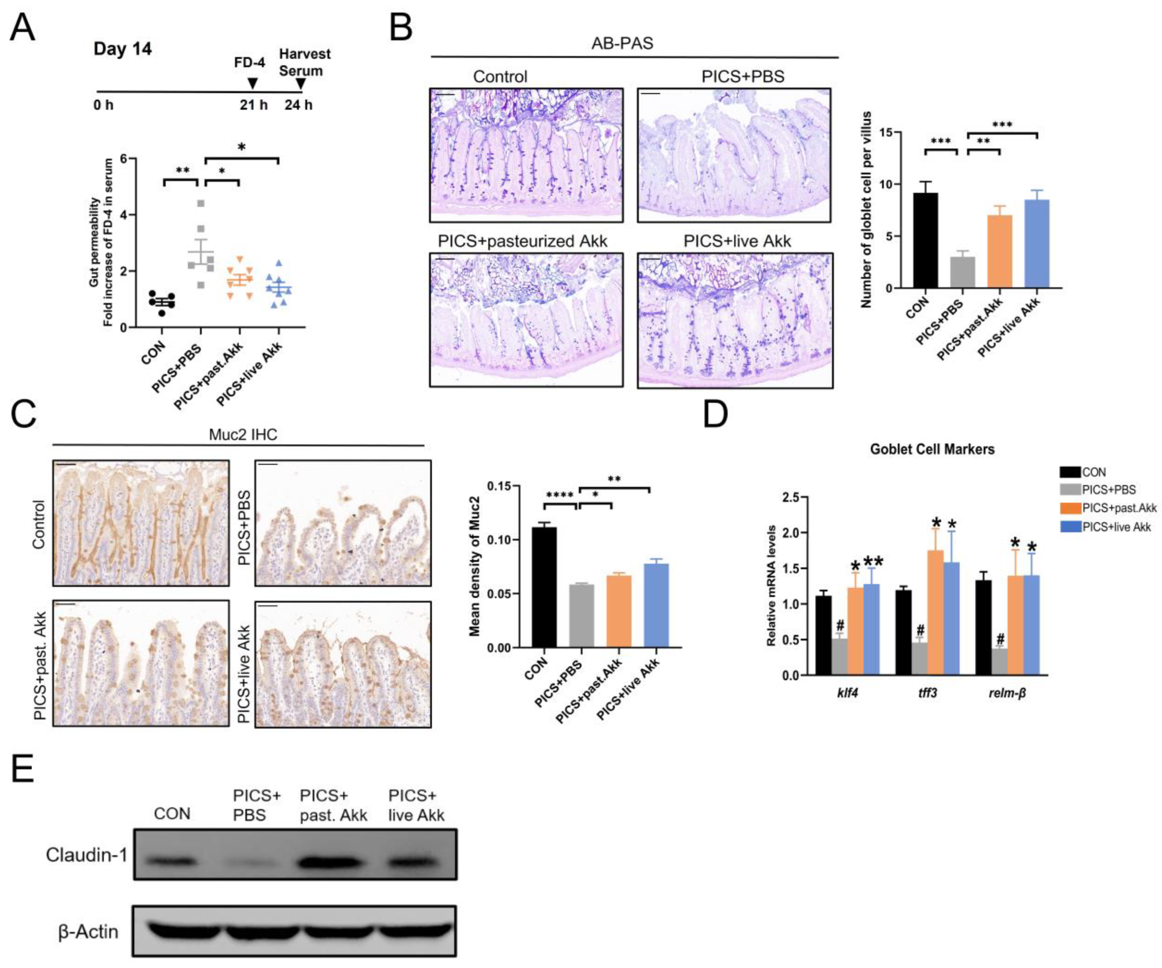 Metabolites 13 00194 g003