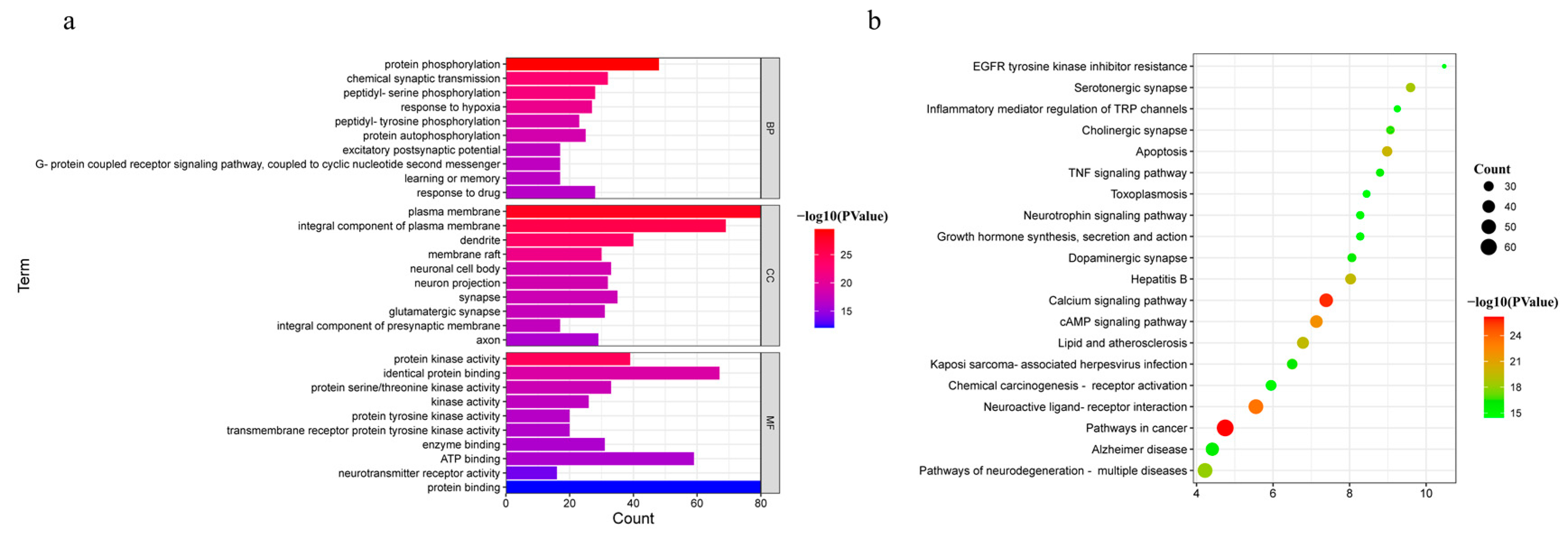 Metabolites 13 00195 g003