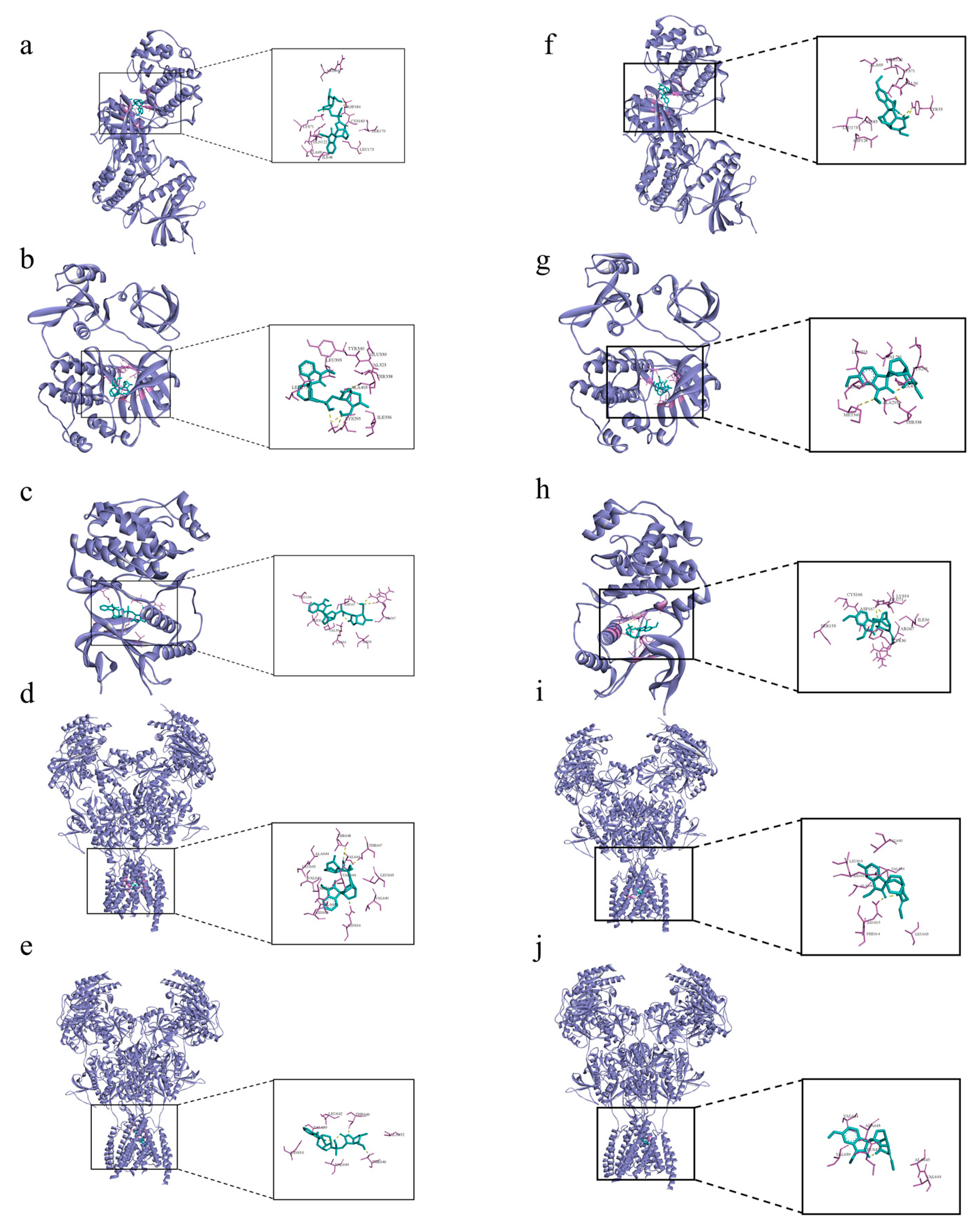 Metabolites 13 00195 g006