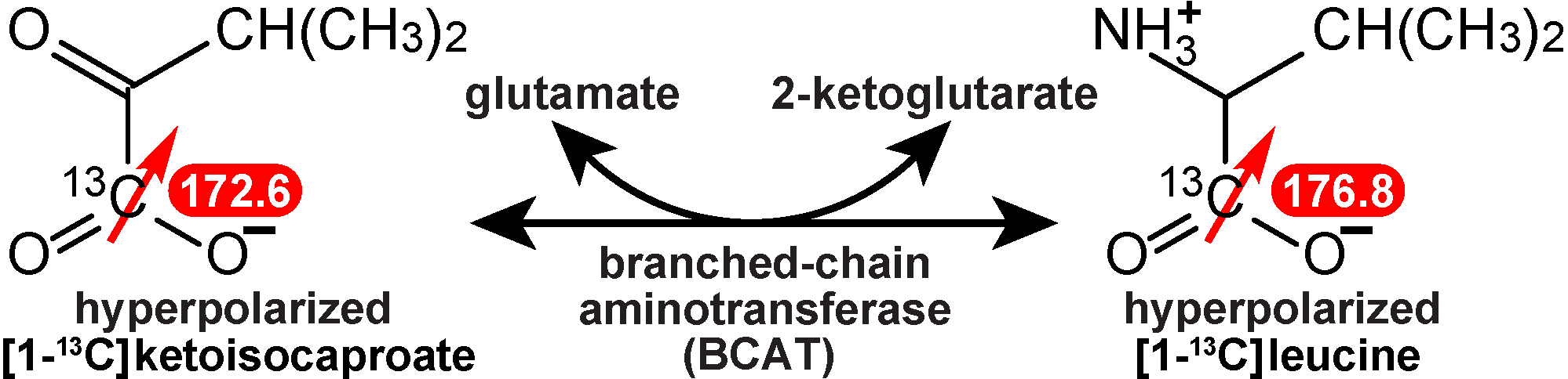 Metabolites 13 00200 sch003