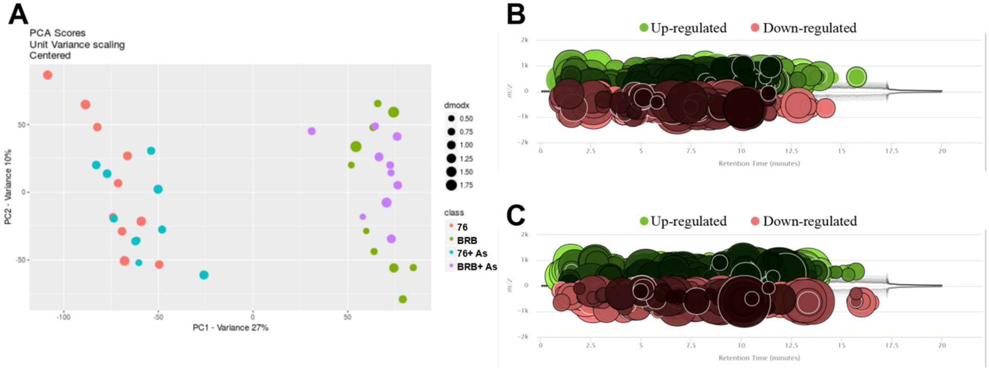 Metabolites 13 00207 g003 Metabolites 13 00207 g003