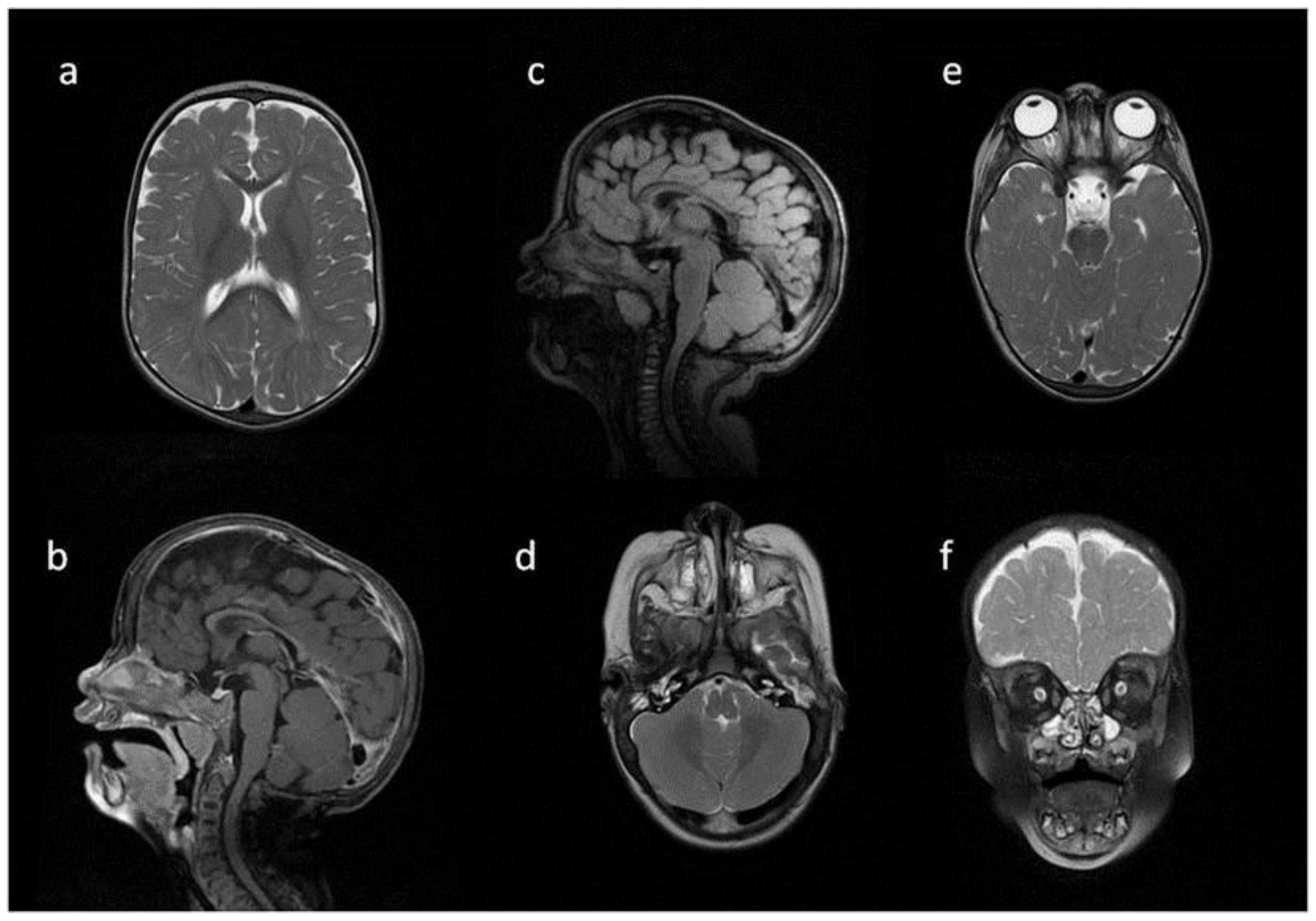 Metabolites 13 00209 g003