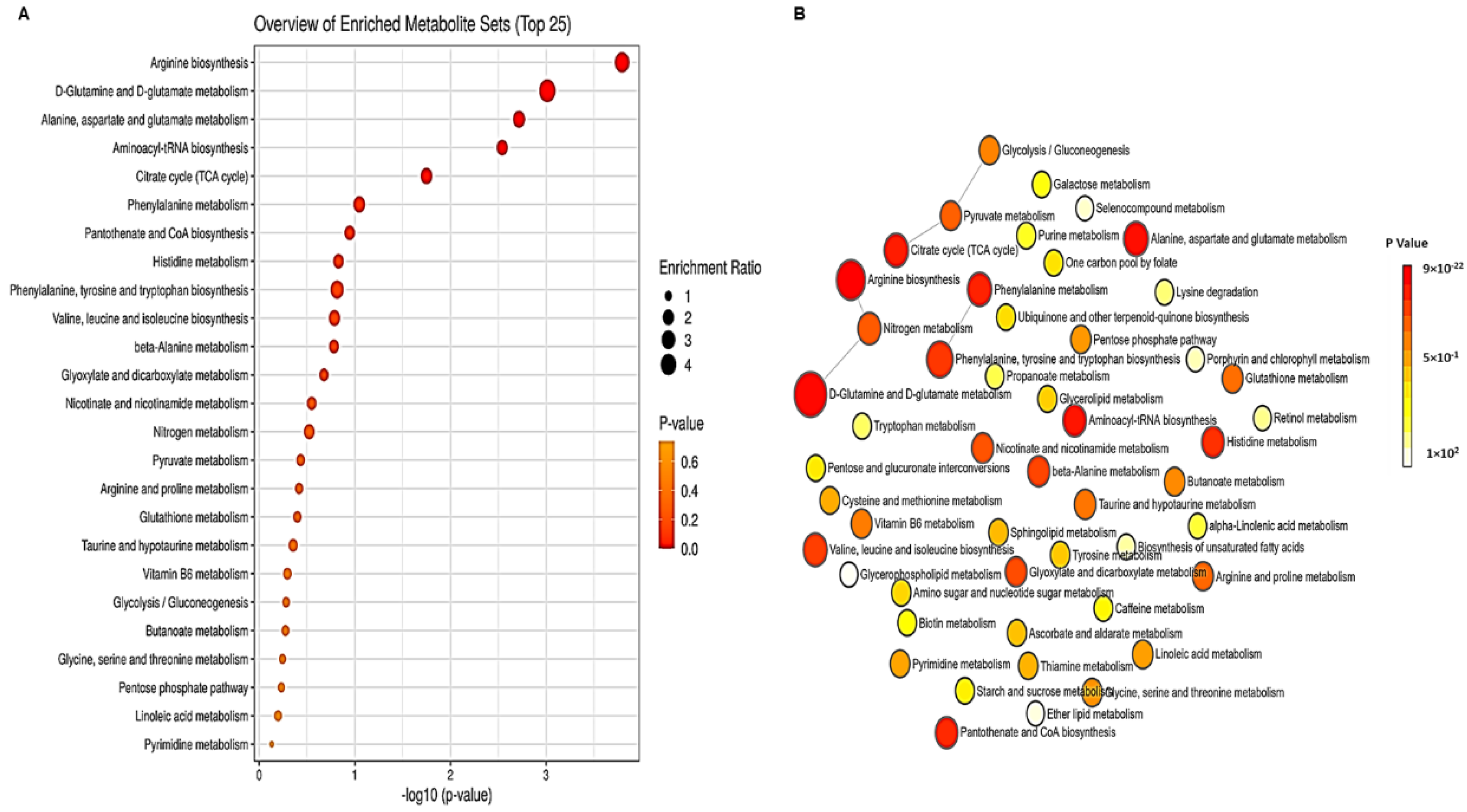 Metabolites 13 00210 g002
