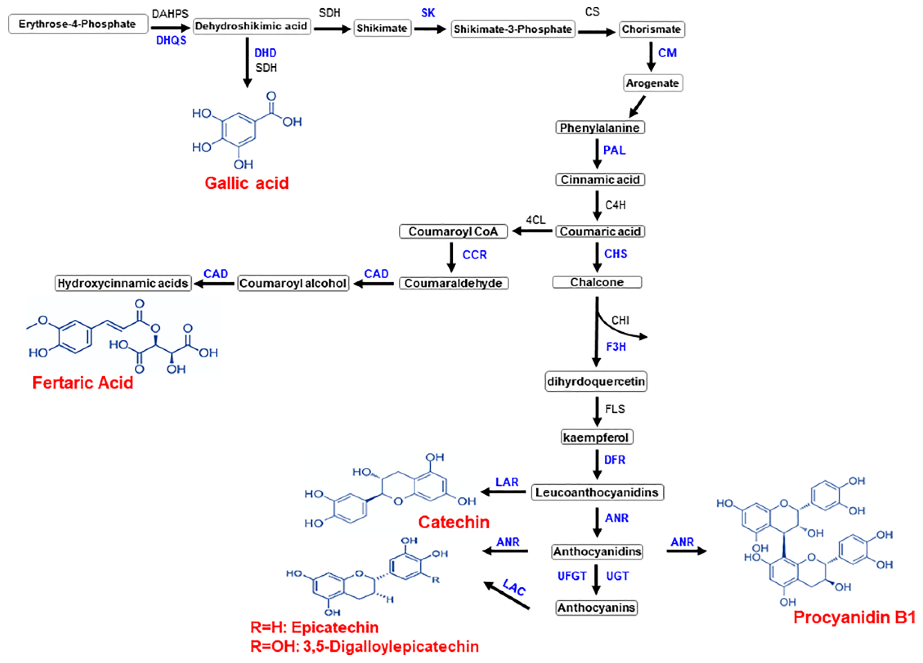 Metabolites 13 00210 g010