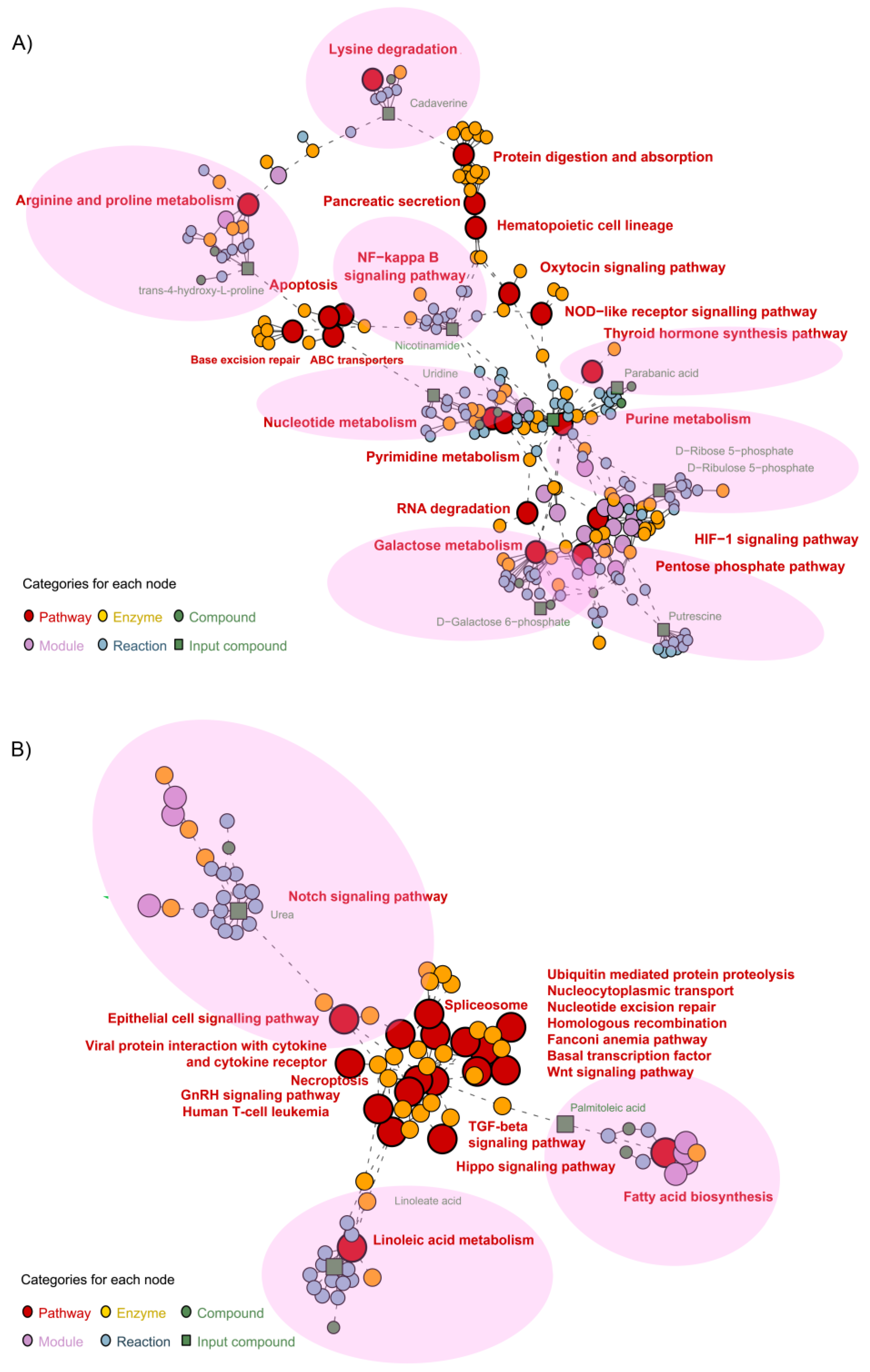 Metabolites 13 00213 g005