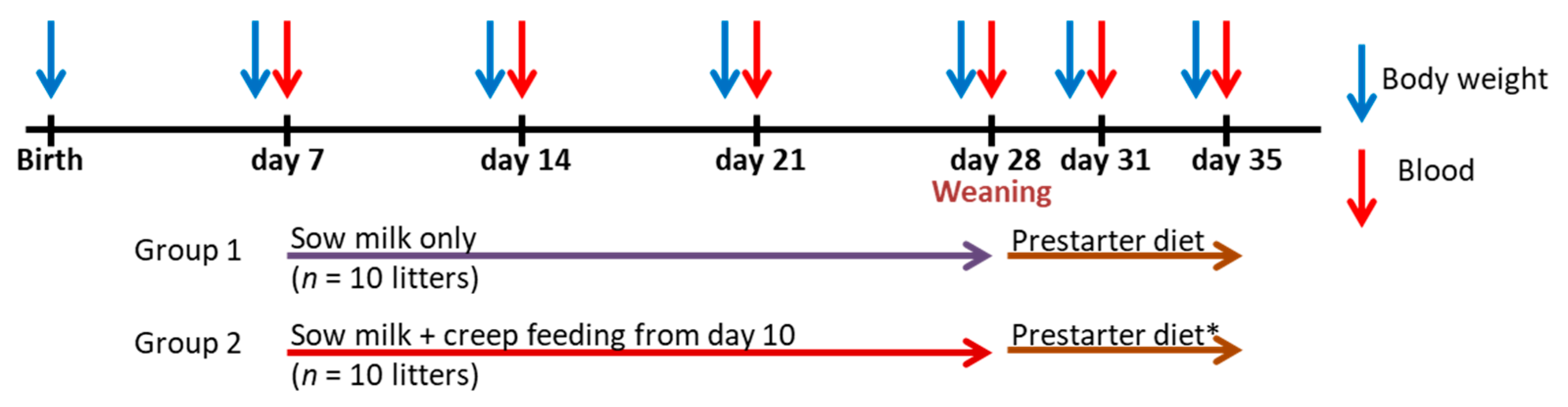 Metabolites 13 00214 g001