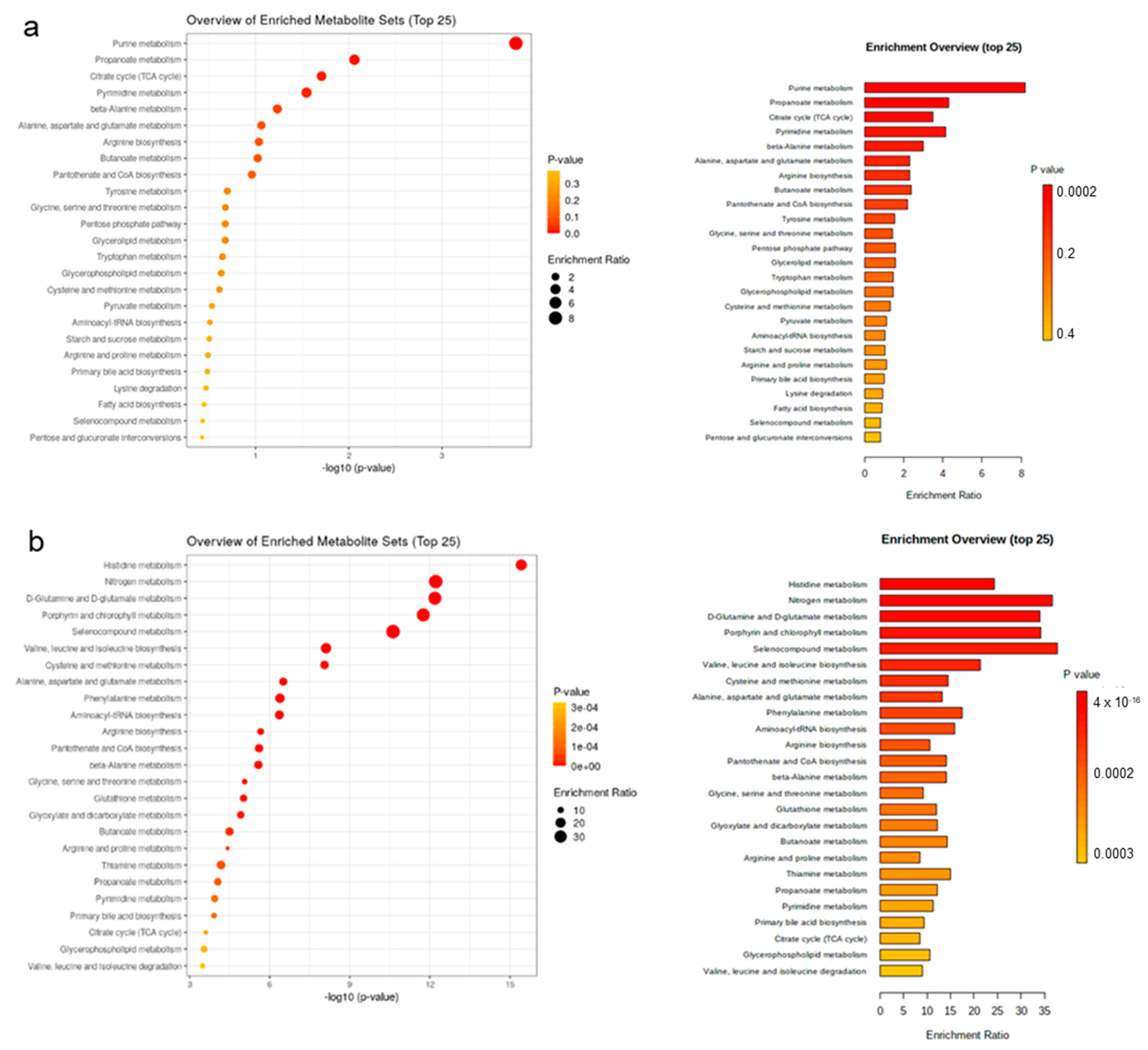Metabolites 13 00214 g005