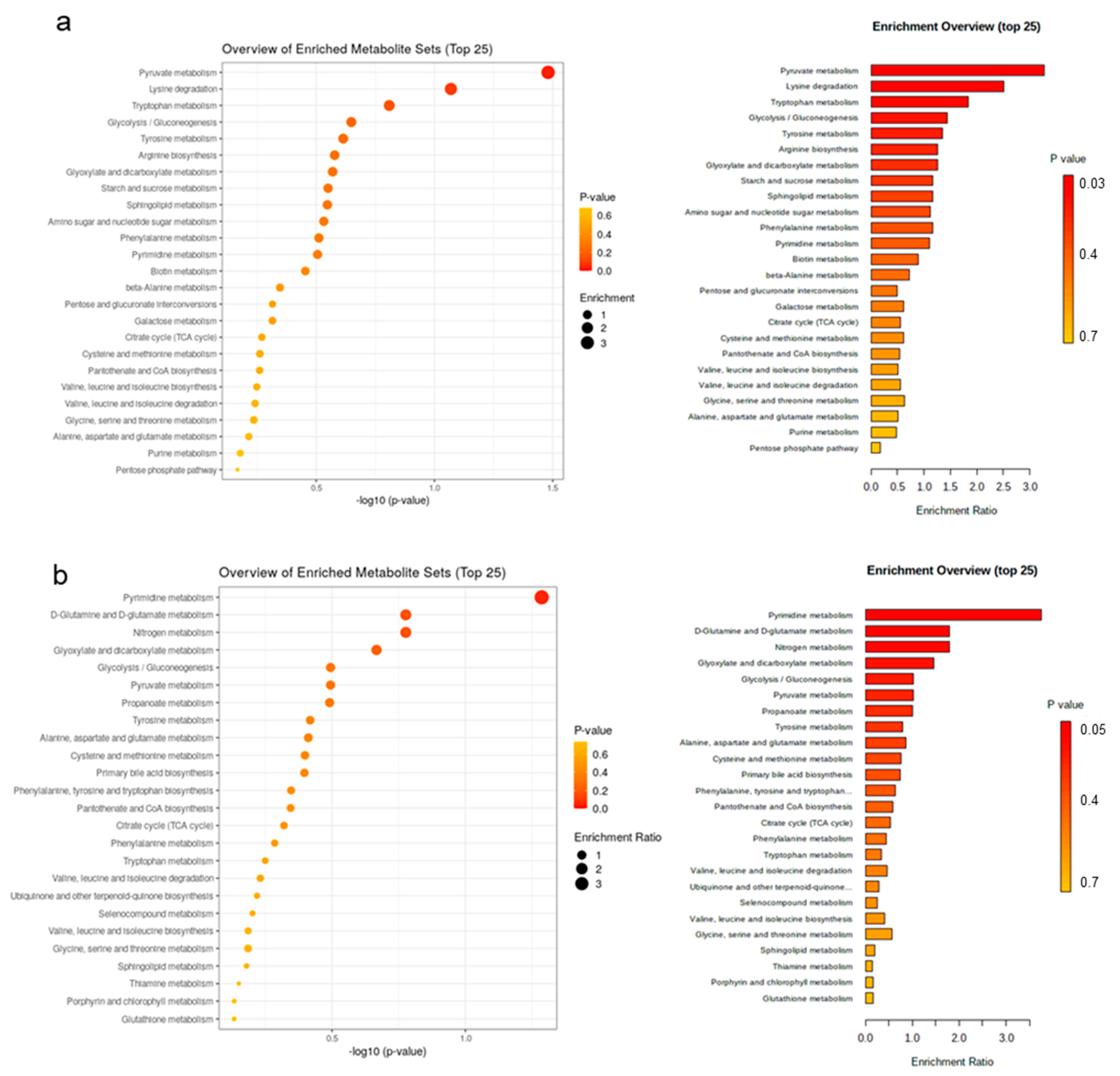 Metabolites 13 00214 g006