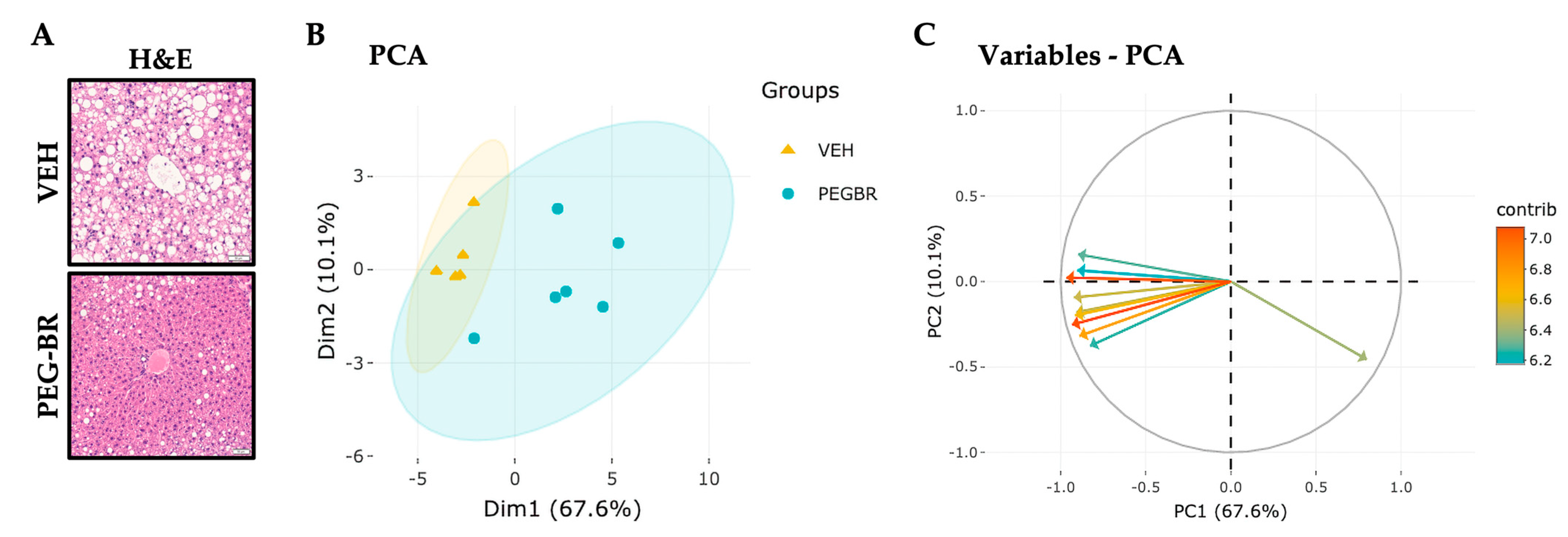 Metabolites 13 00215 g001