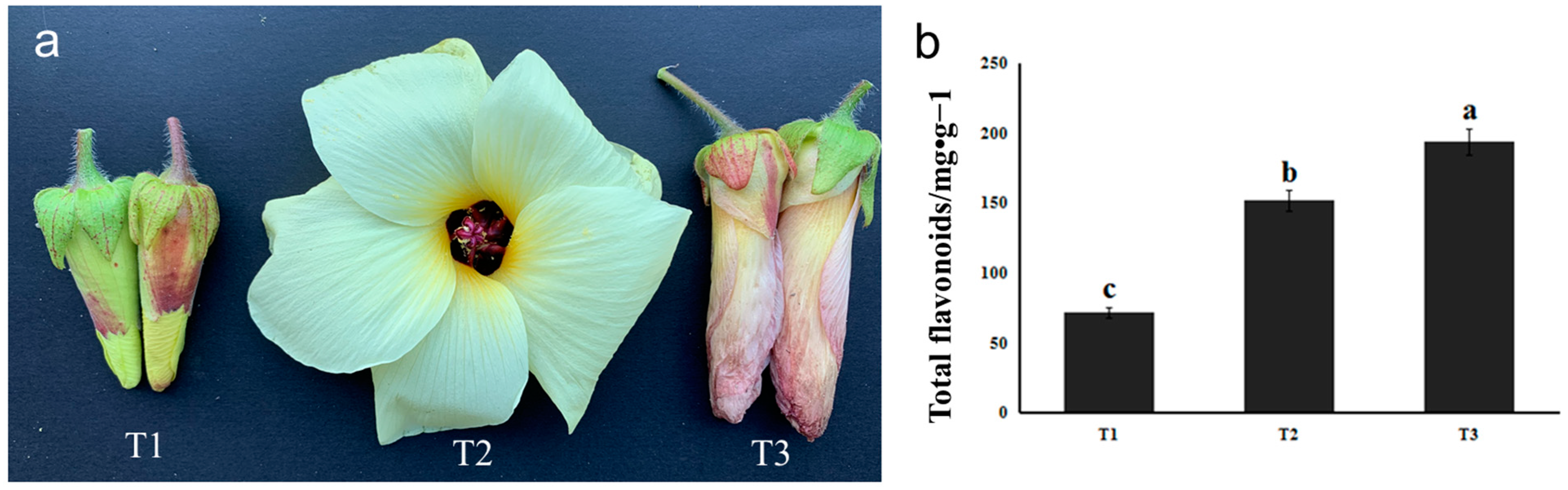 Metabolites 13 00216 g001