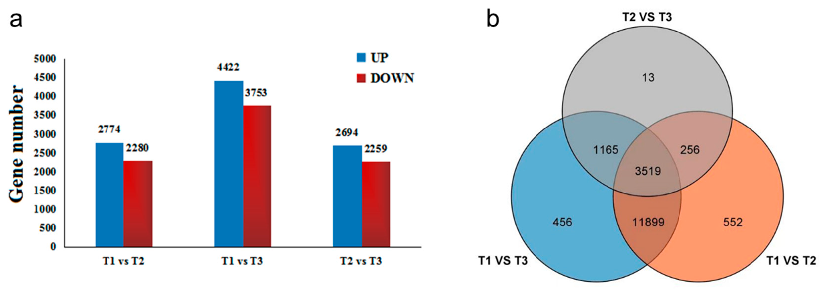 Metabolites 13 00216 g006