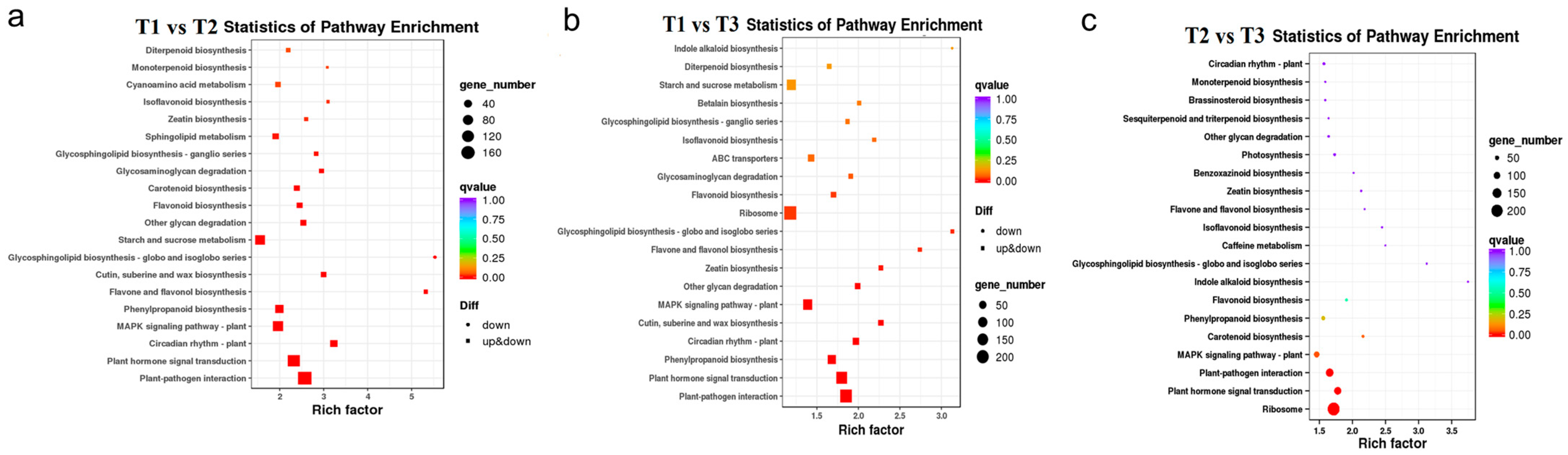 Metabolites 13 00216 g007