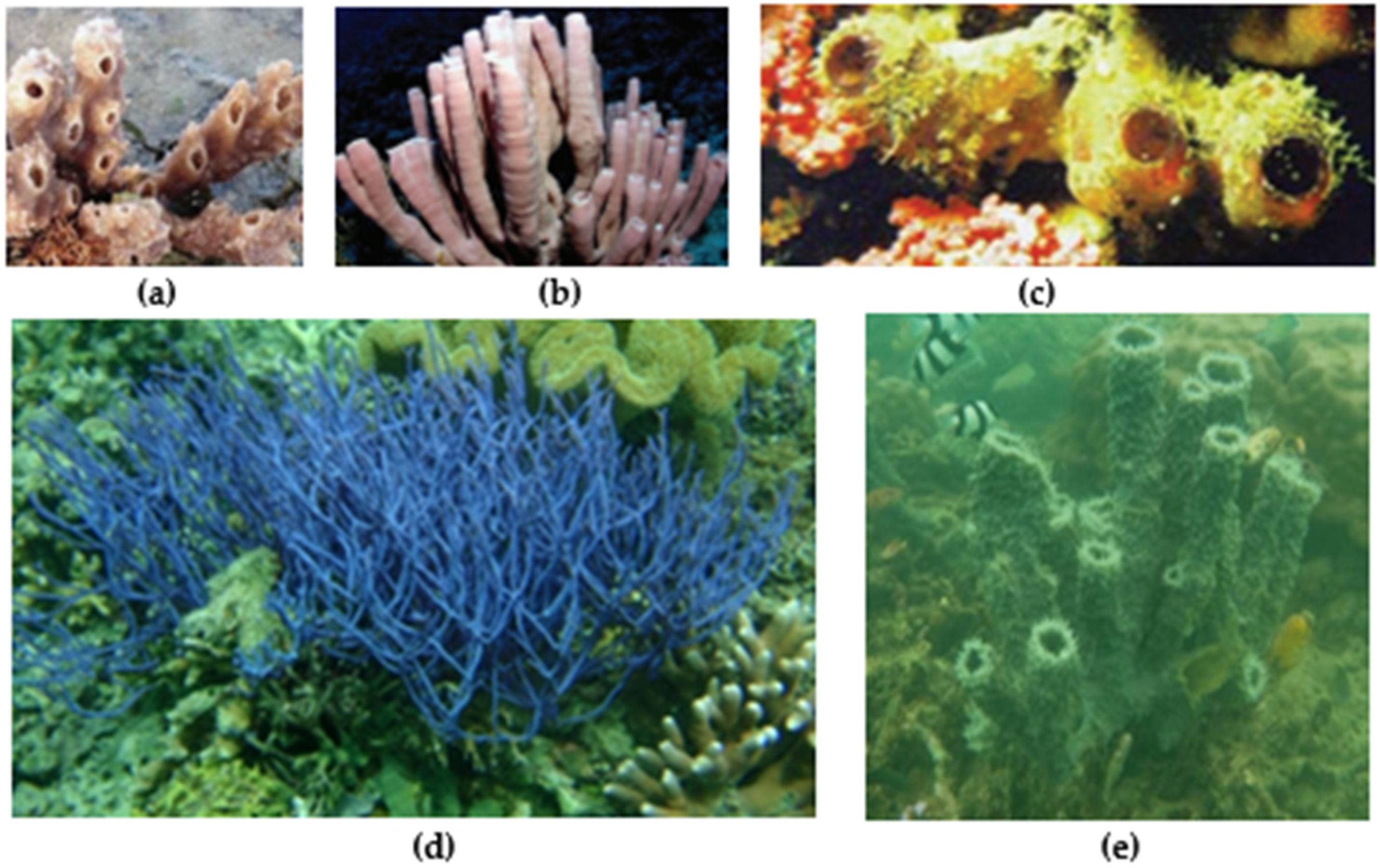 Metabolites 13 00217 g001