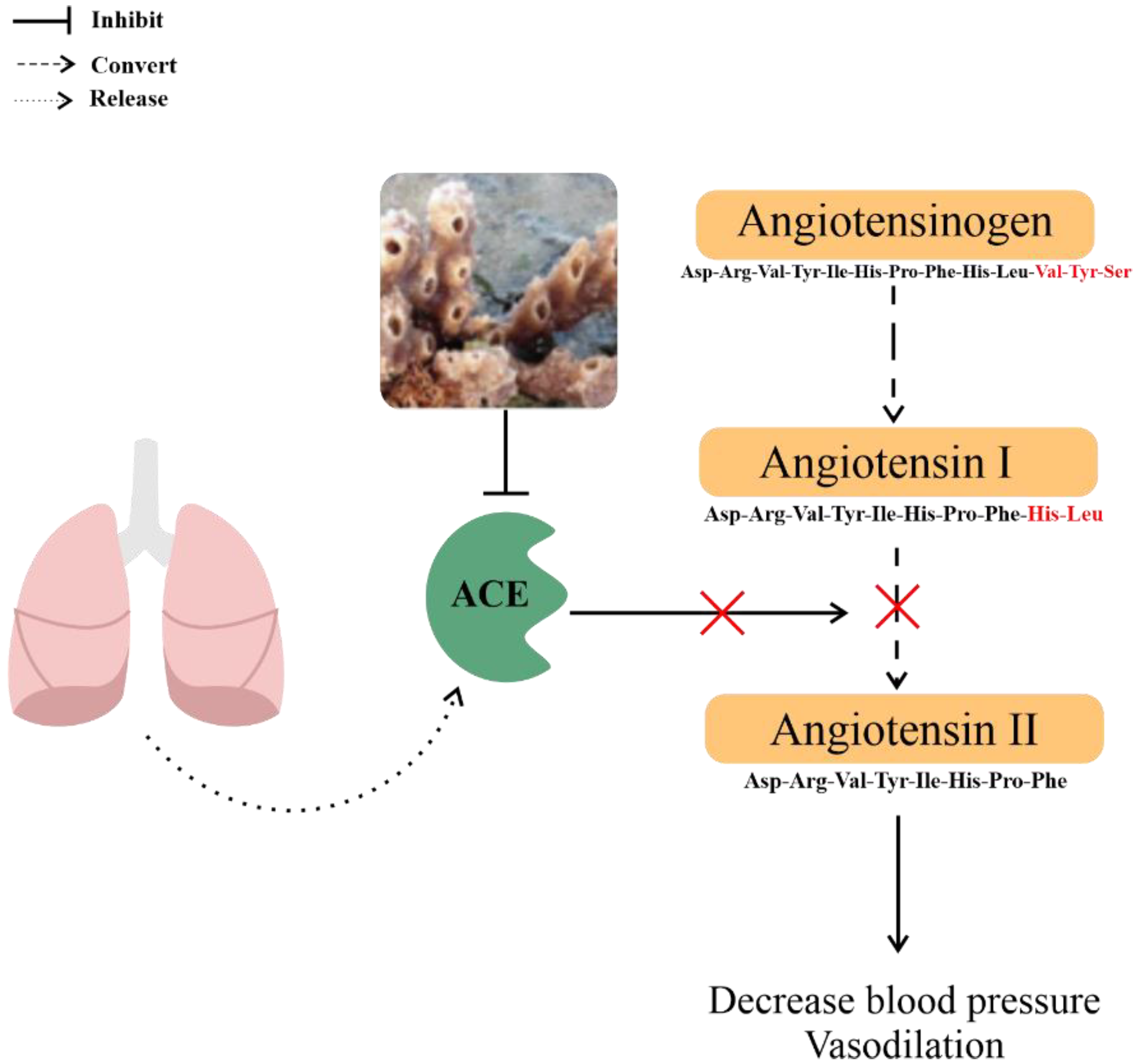 Metabolites 13 00217 g005