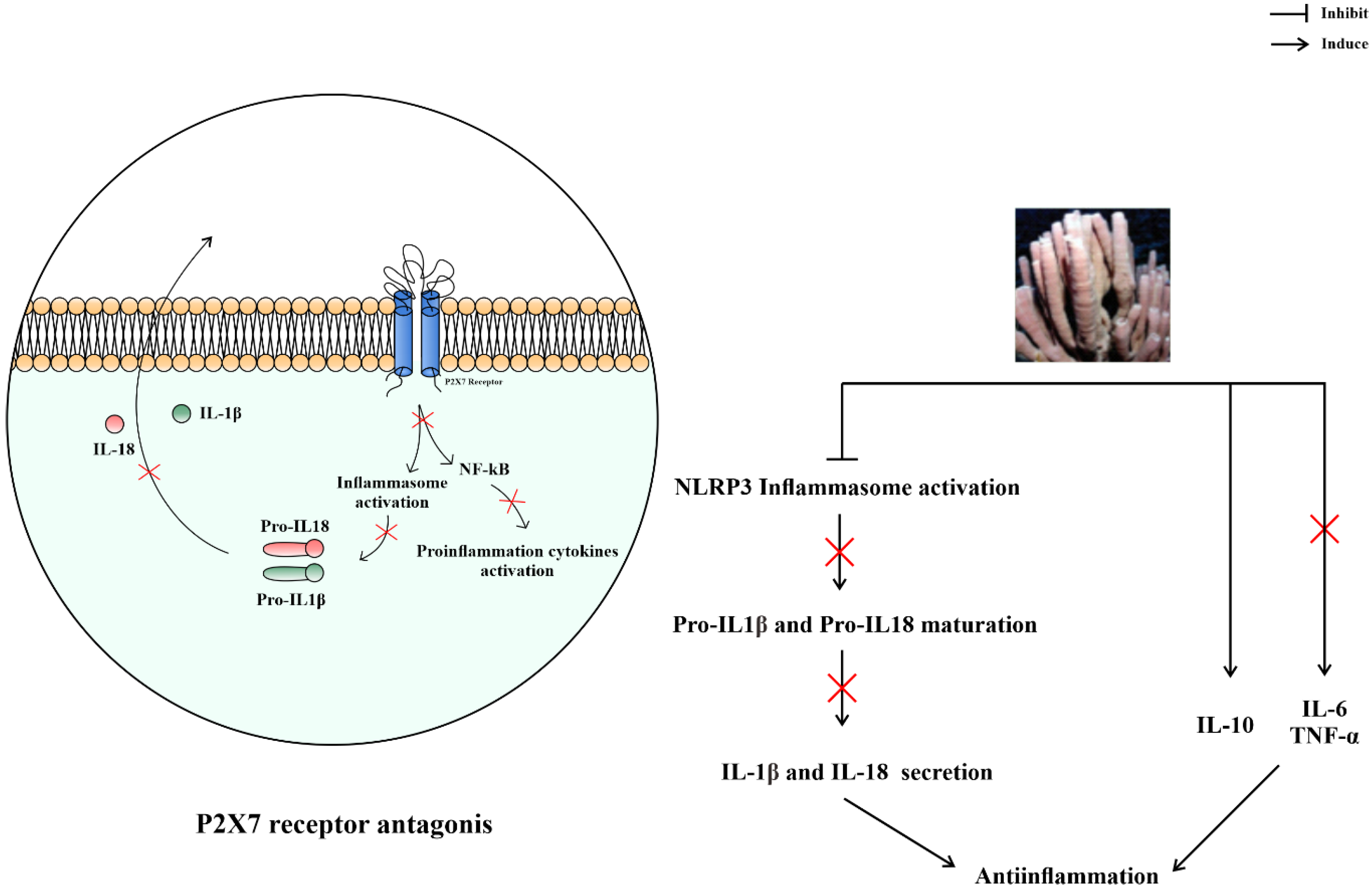 Metabolites 13 00217 g006
