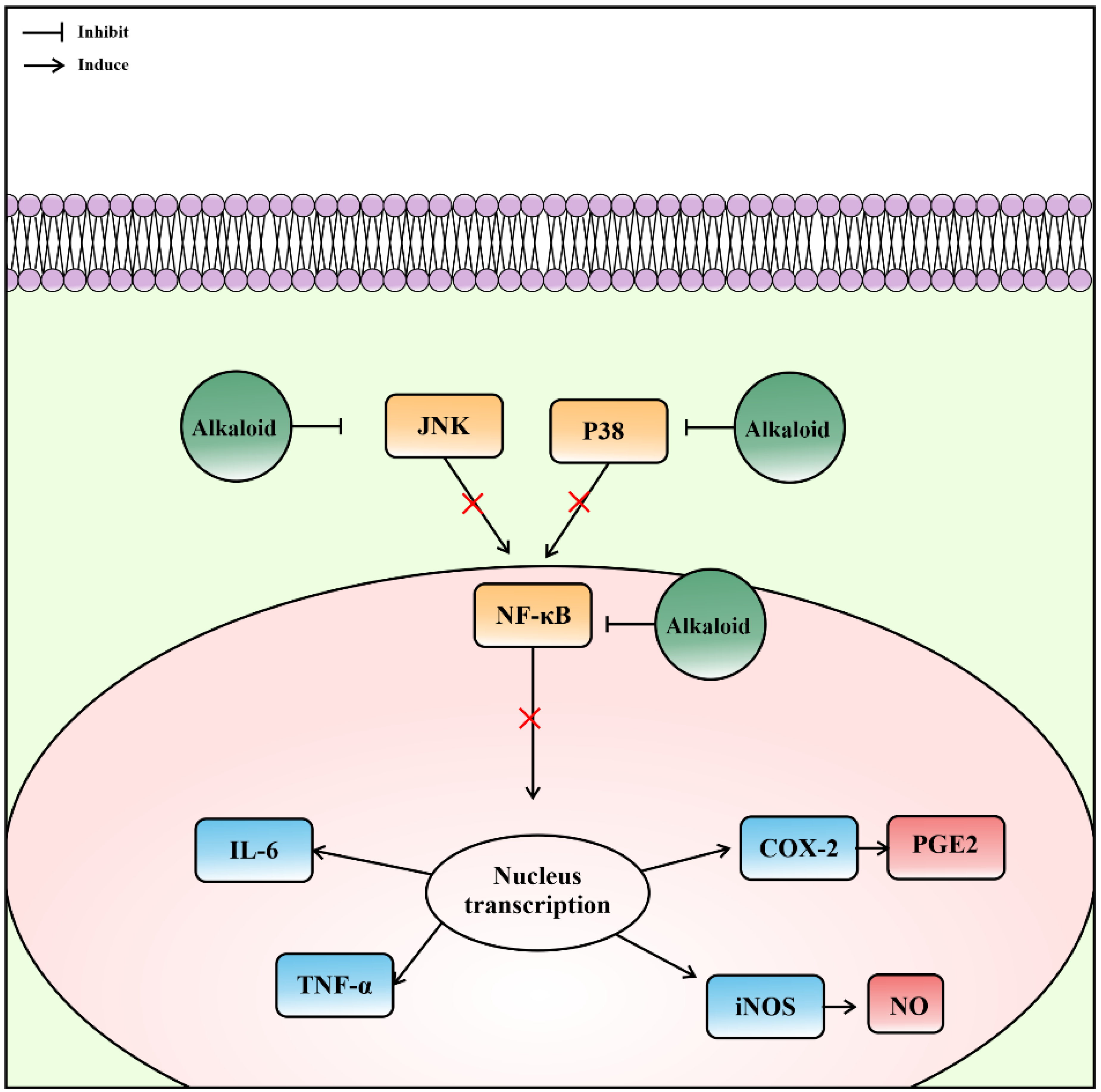 Metabolites 13 00217 g007