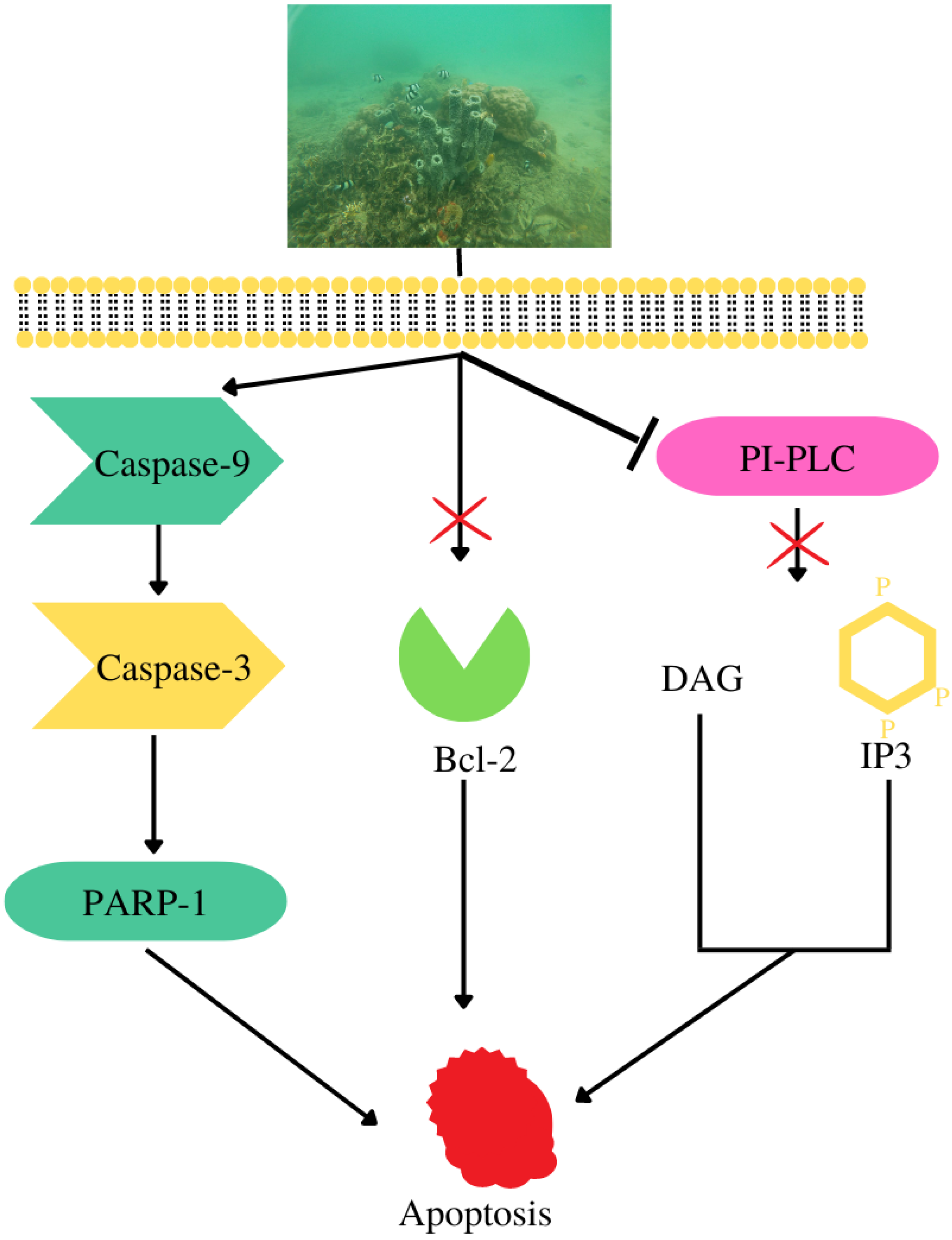 Metabolites 13 00217 g008
